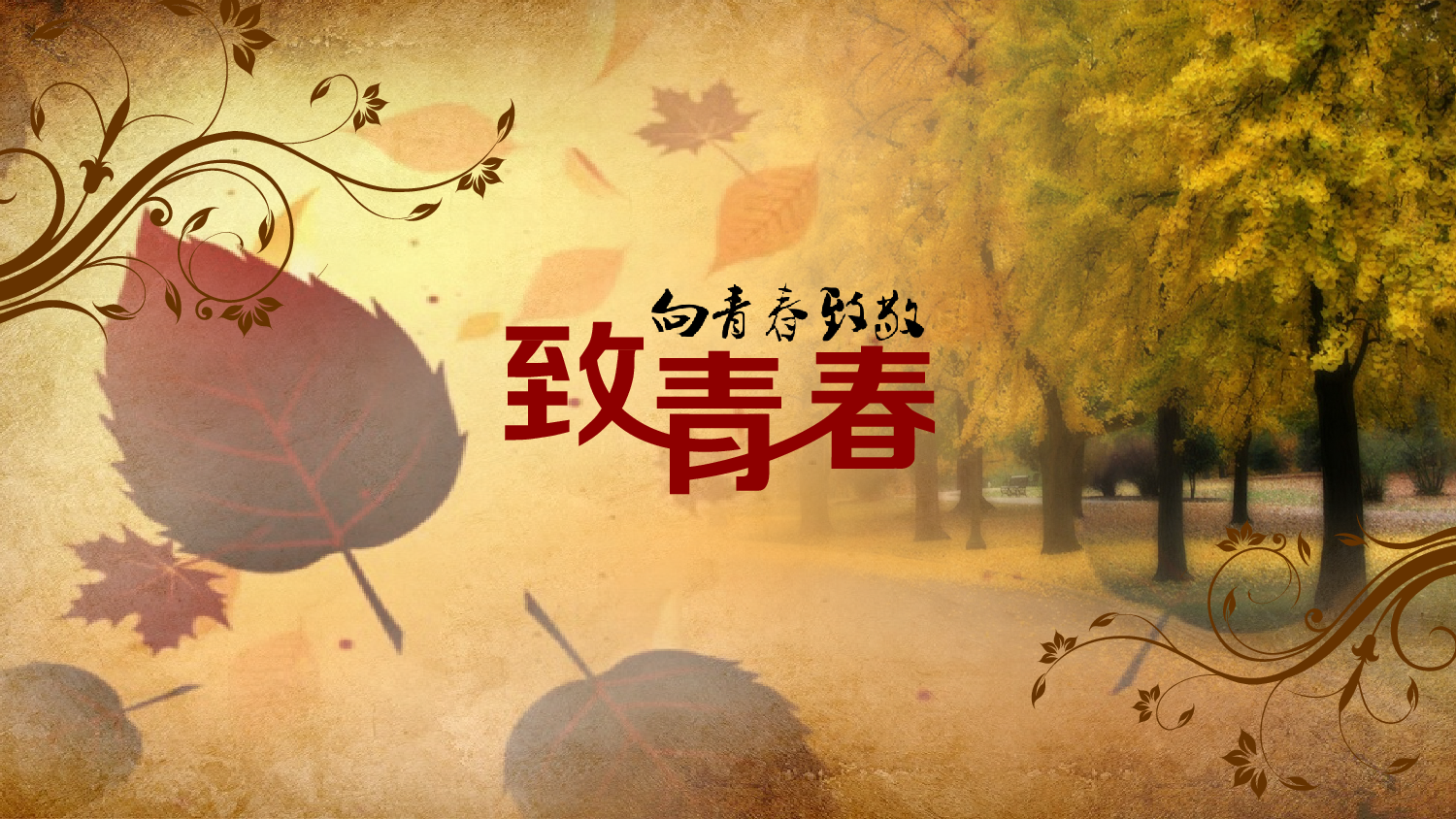 亮亮图文-同学聚会(5).pptx 第1页