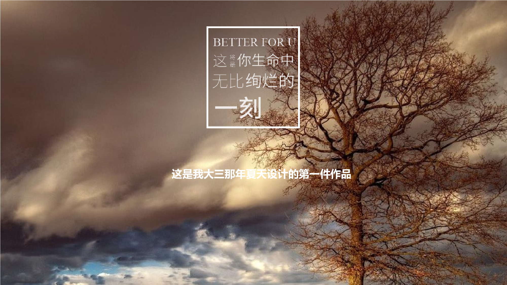 作品集-编号022.pptx 第2页