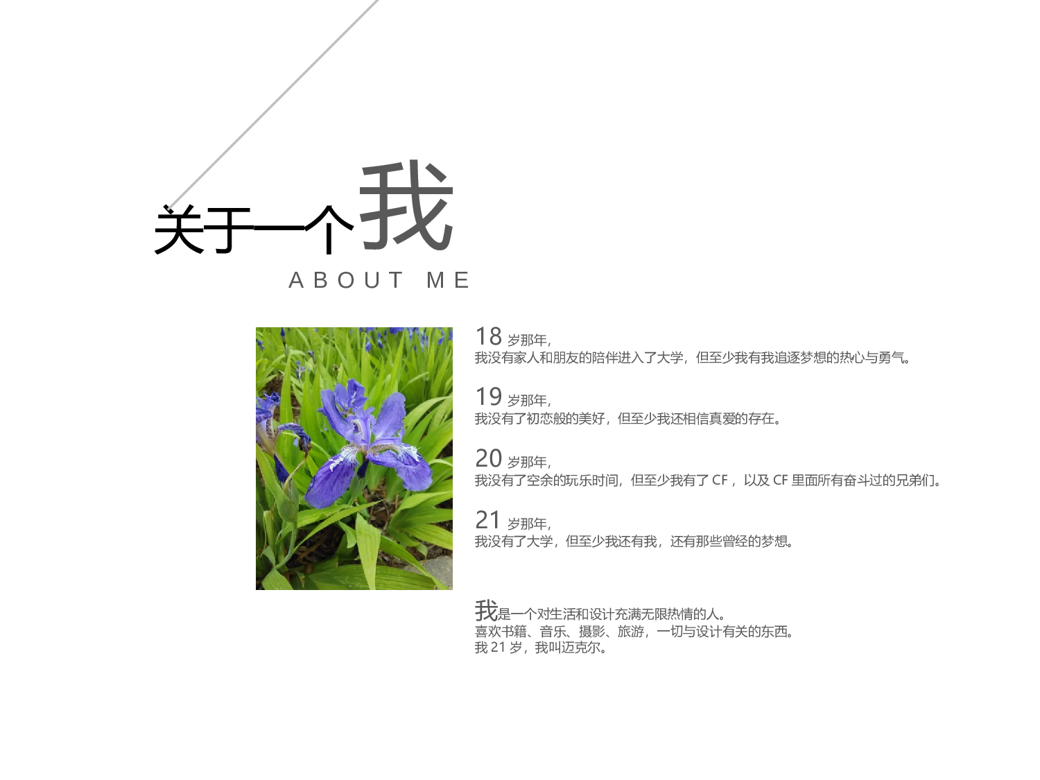 作品集-编号09.pptx 第2页
