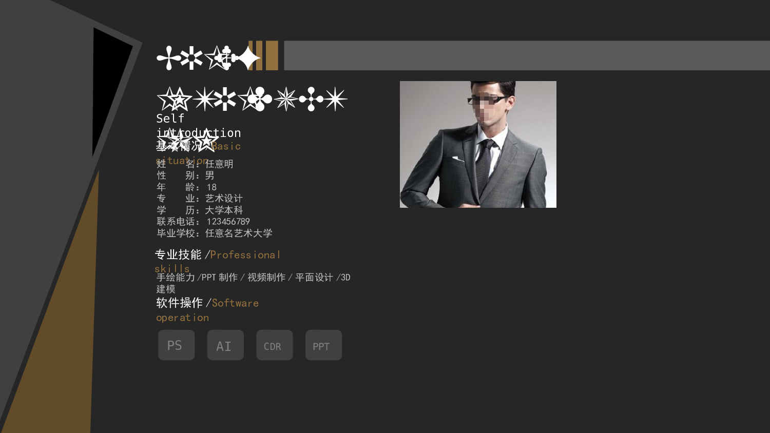 作品集-编号10.pptx 第3页