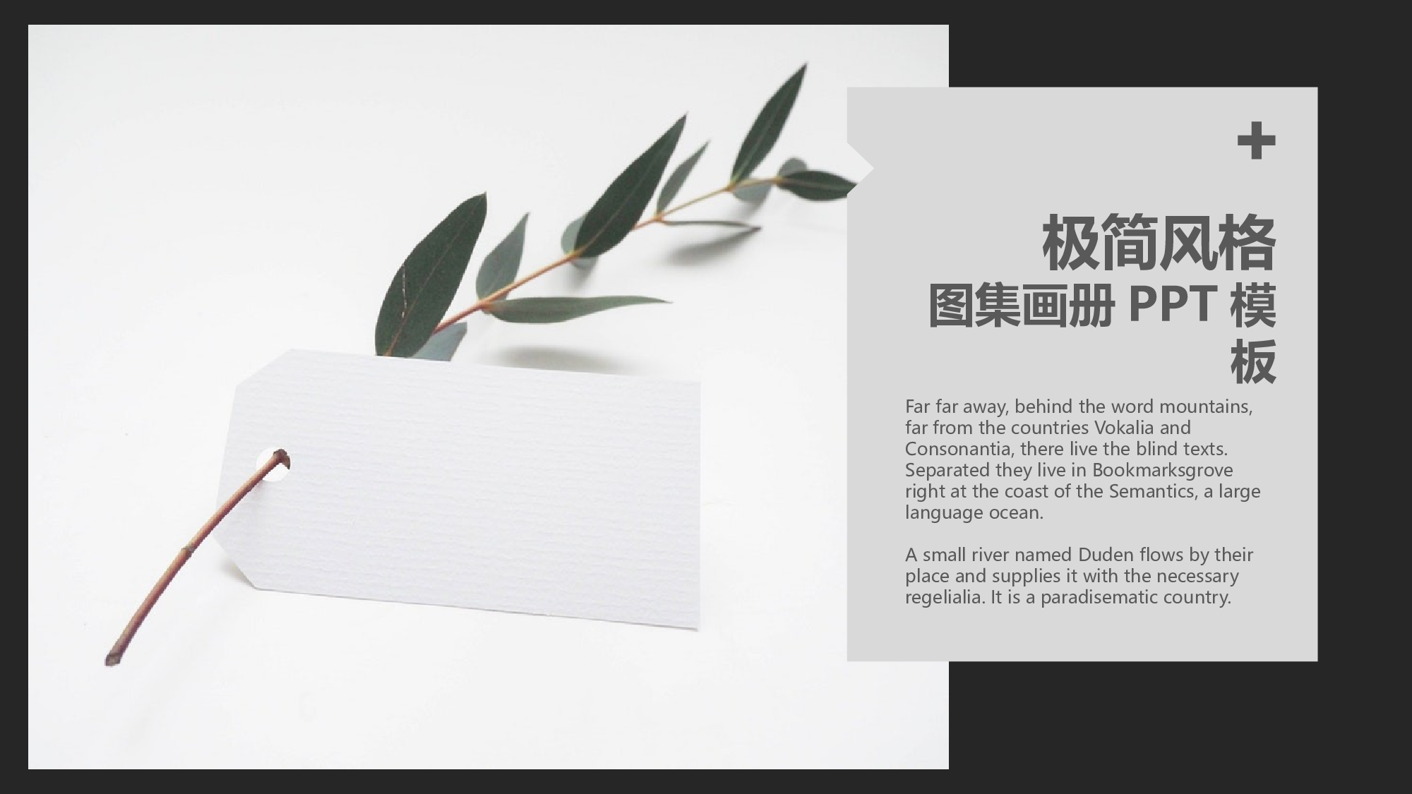 作品集-编号1313.pptx 第1页