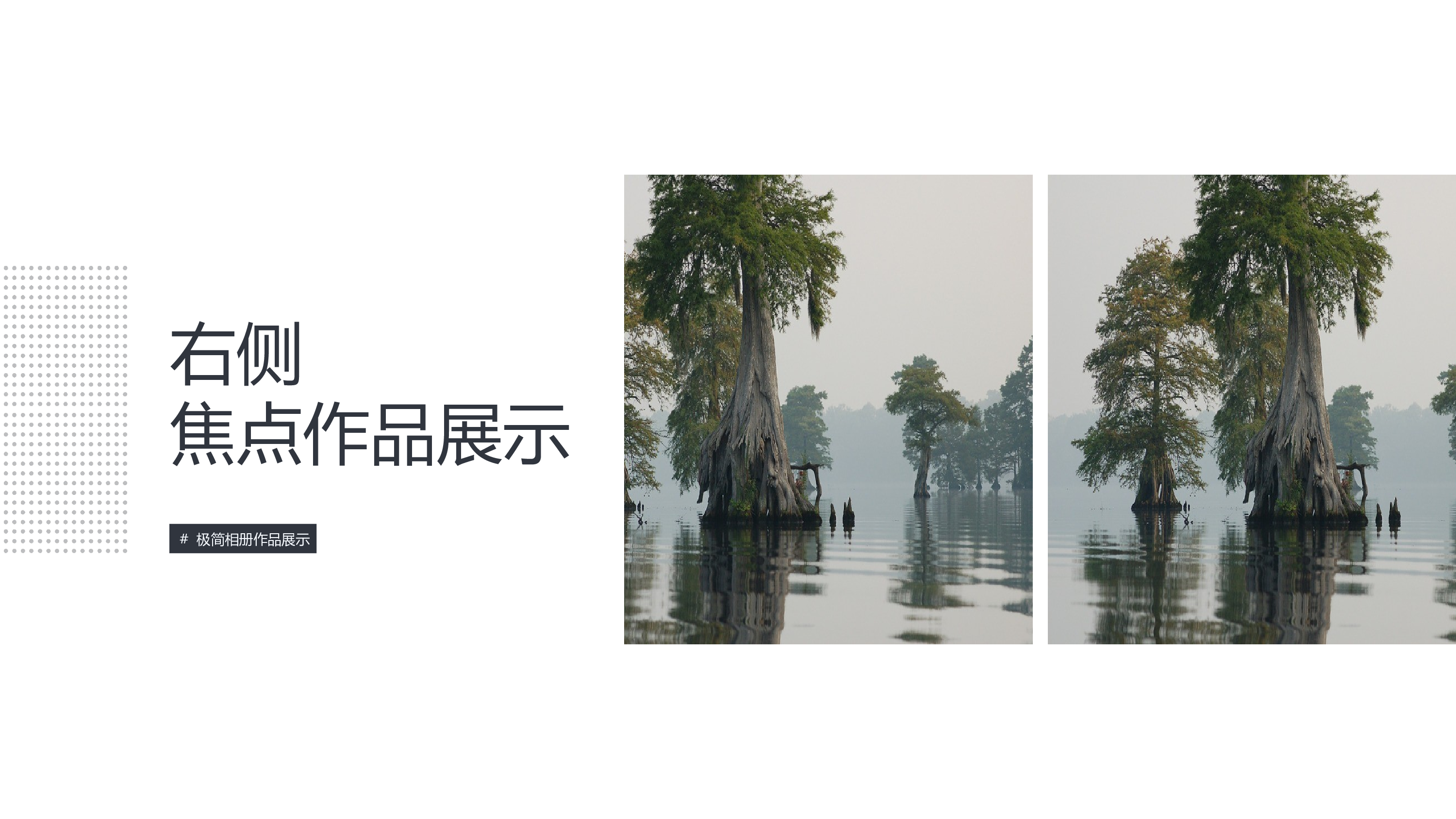 作品集-编号1716.pptx 第3页