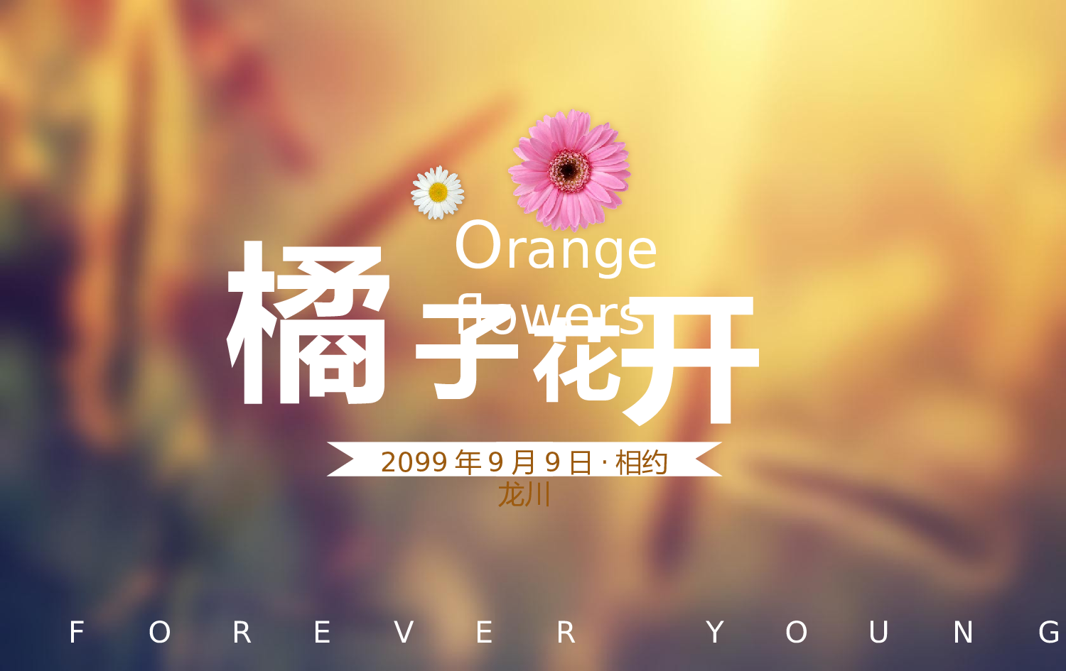 唯美青春毕业季同学聚会ppt视频模版.pptx 第1页