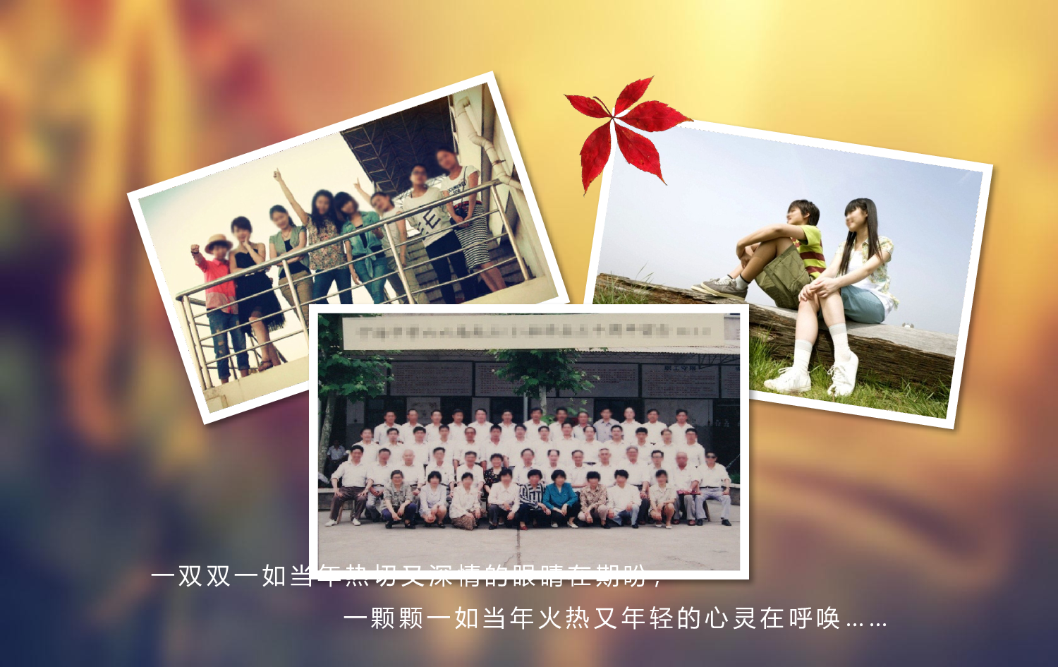 唯美青春毕业季同学聚会ppt视频模版.pptx 第2页