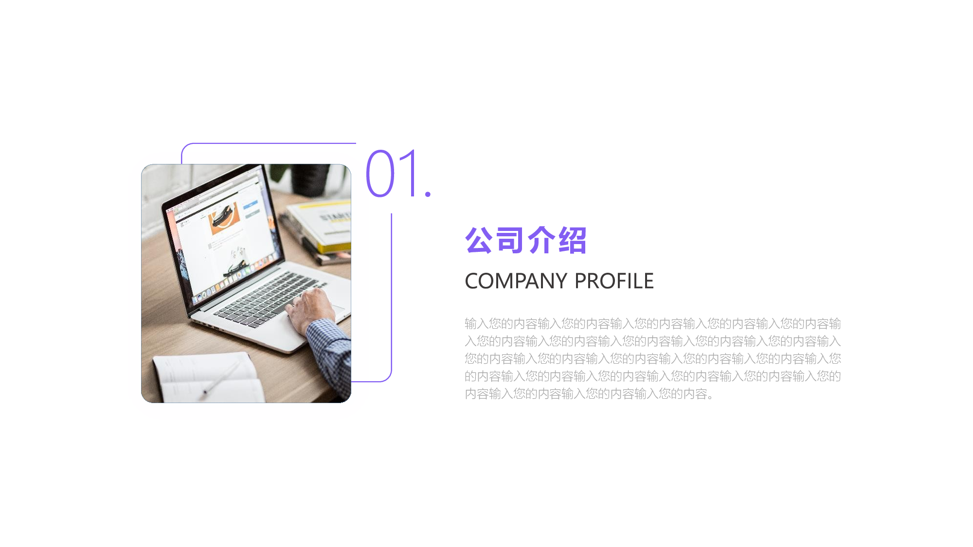 商务风电商企业宣传画册PPT模板.pptx 第3页