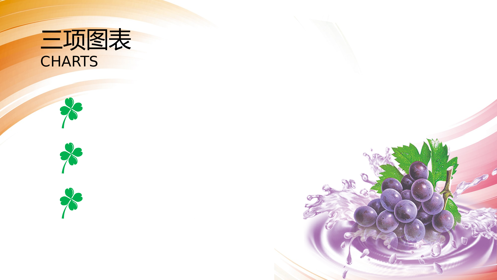 多彩公司汇报.pptx 第5页