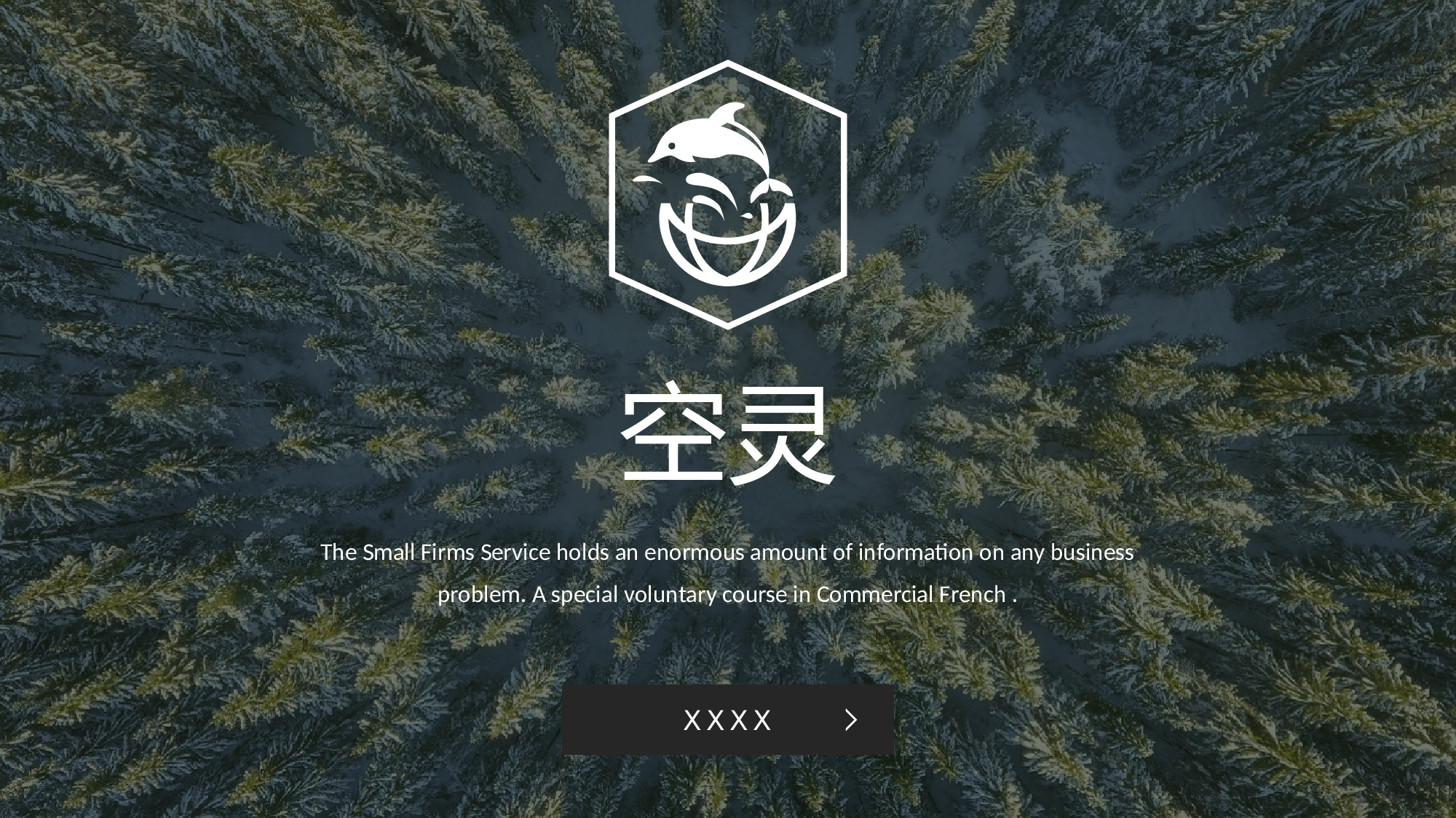 空灵风699.pptx 第1页