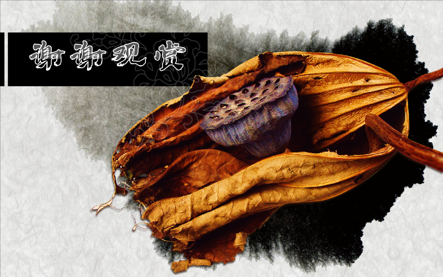 模板中国风97.ppt 第4页