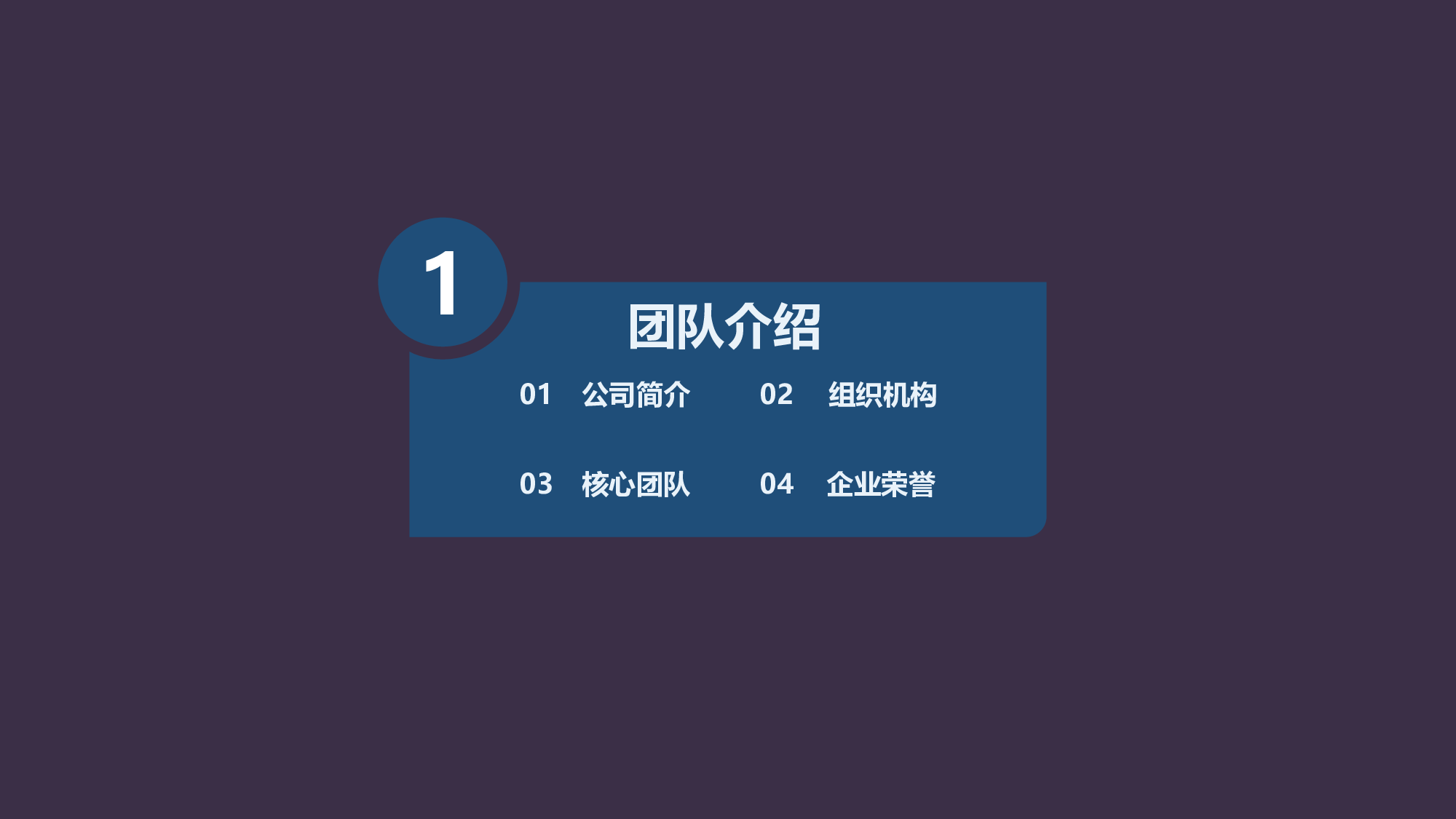 商业计划书模板06770.pptx 第3页