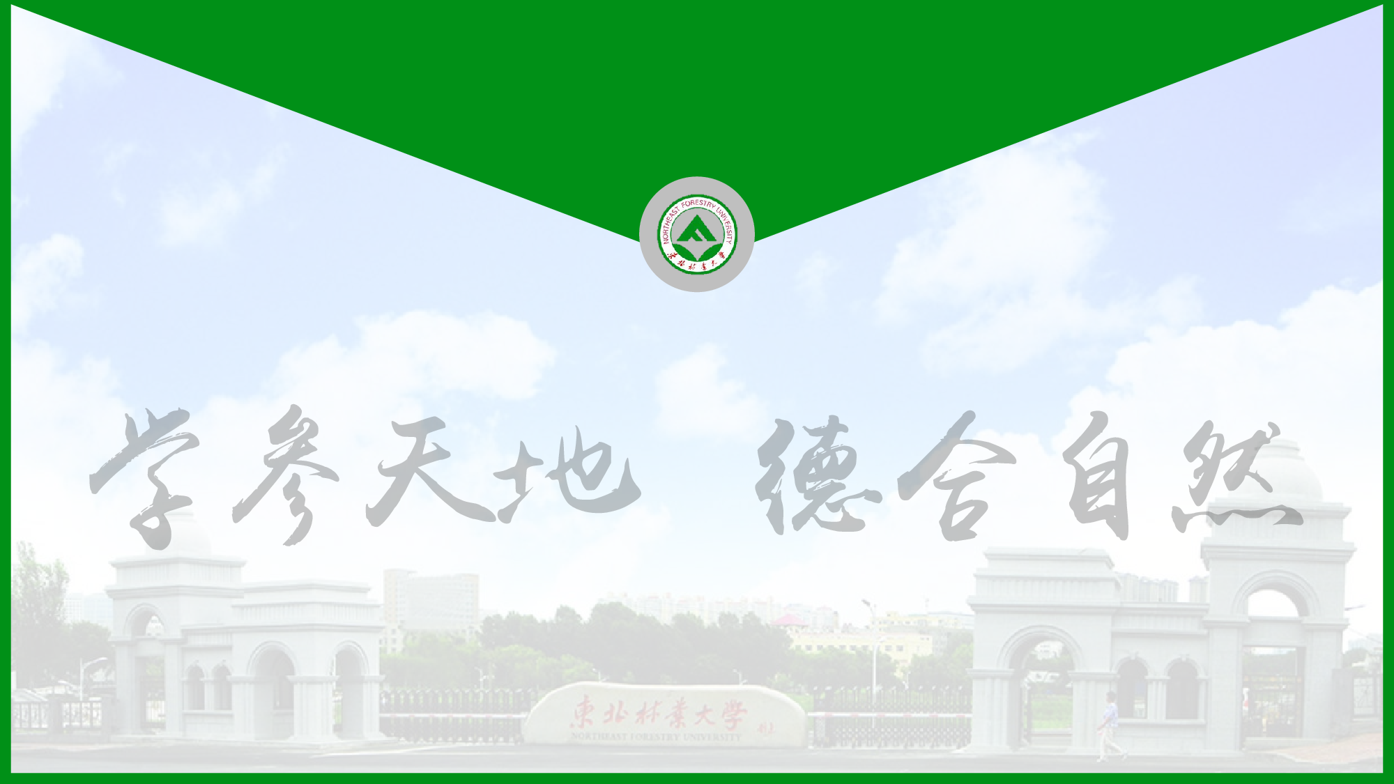某某大学答辩通用模板265.pptx 第1页