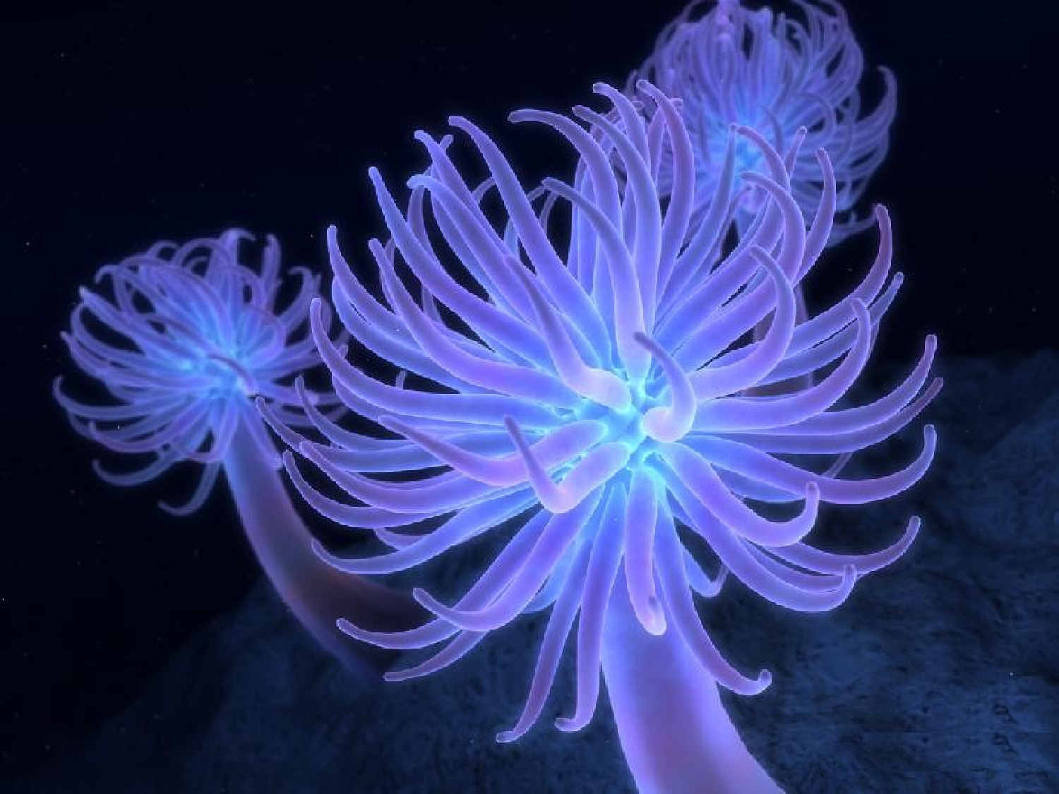 beautiful-earth-1.ppt 第1页