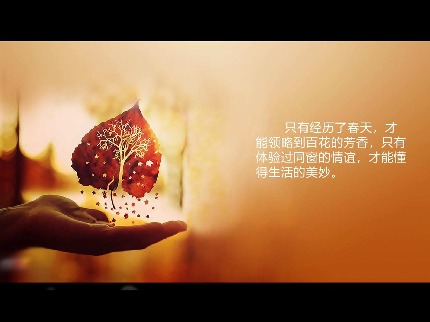 青春怀旧PPT.pptx 第2页
