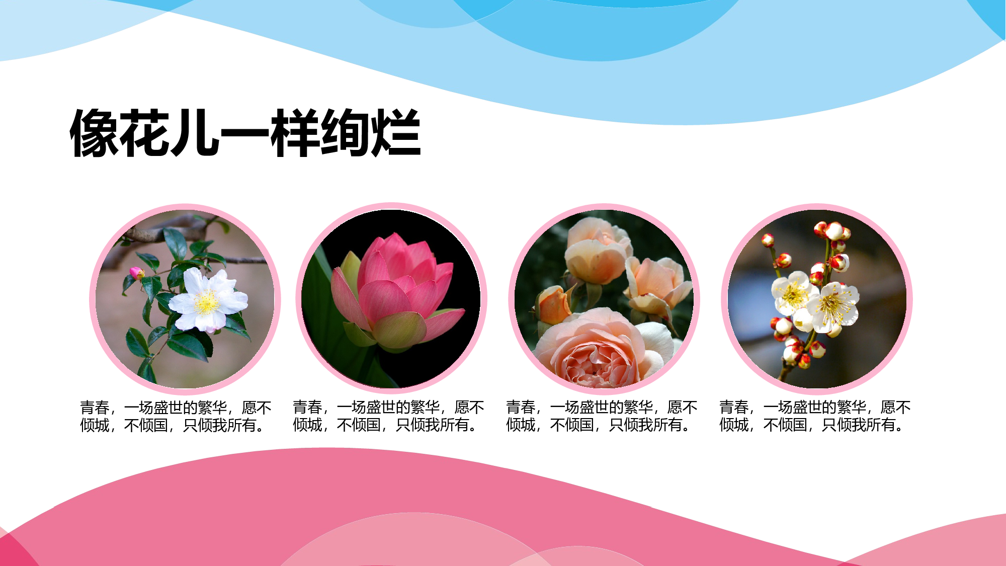 野望教育绽放绚烂.pptx 第5页