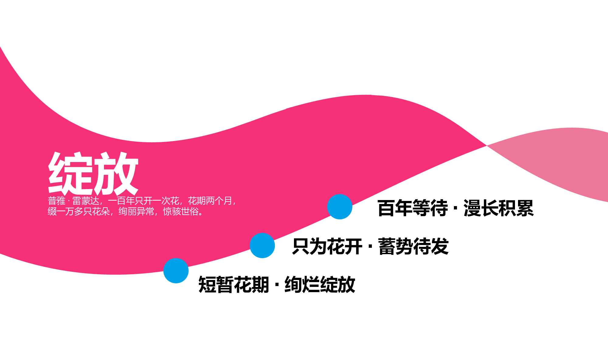 野望教育绽放绚烂.pptx 第3页