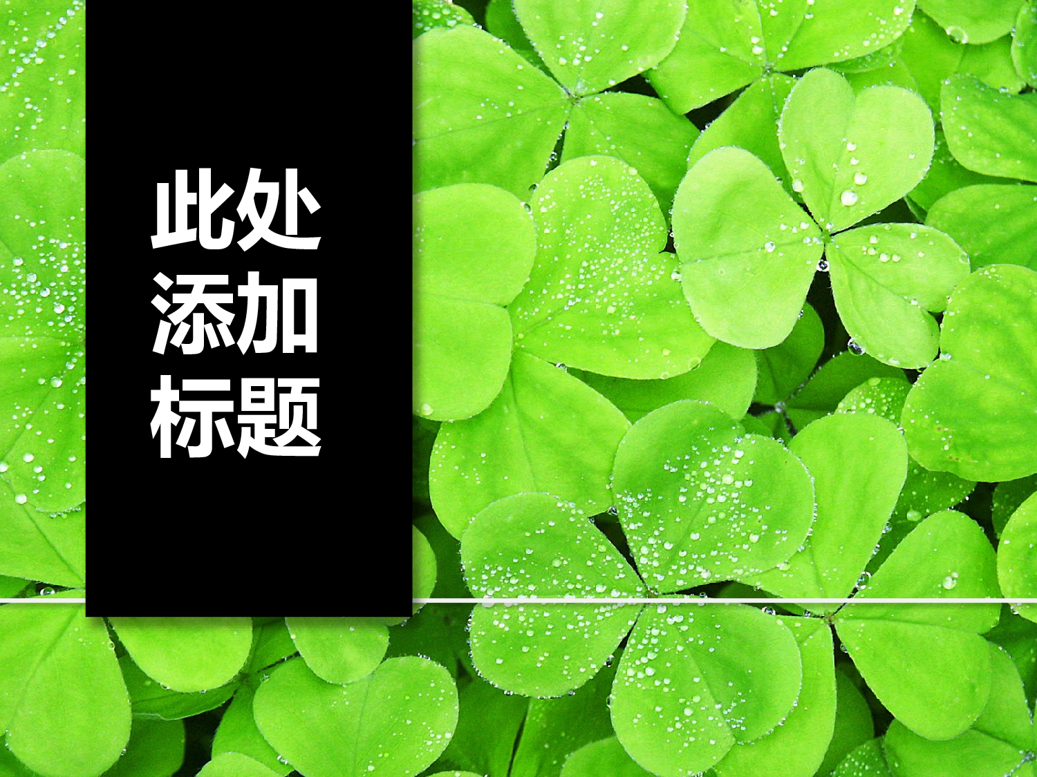 精美图表069273.pptx 第1页