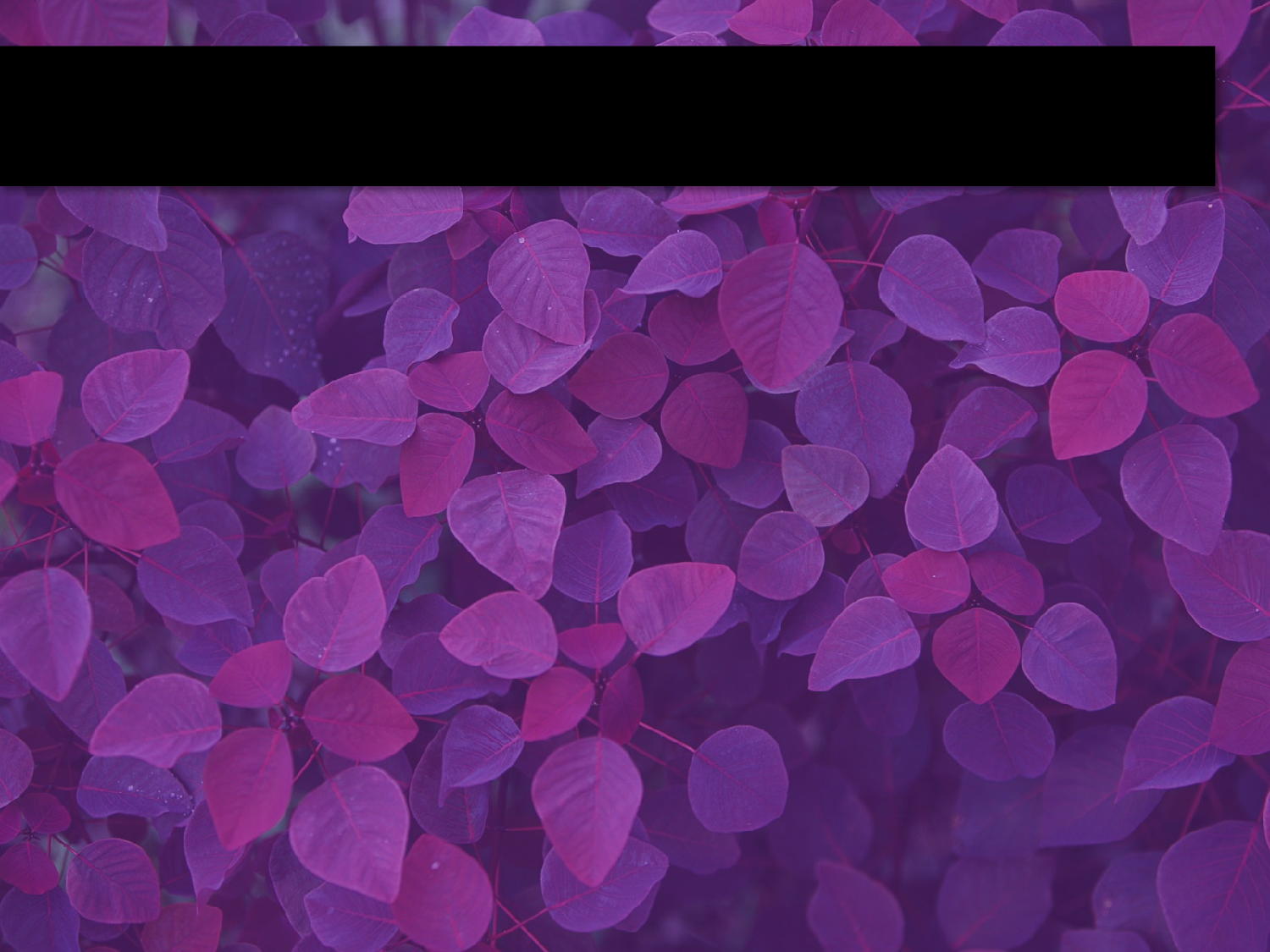精美图表069372.pptx 第2页