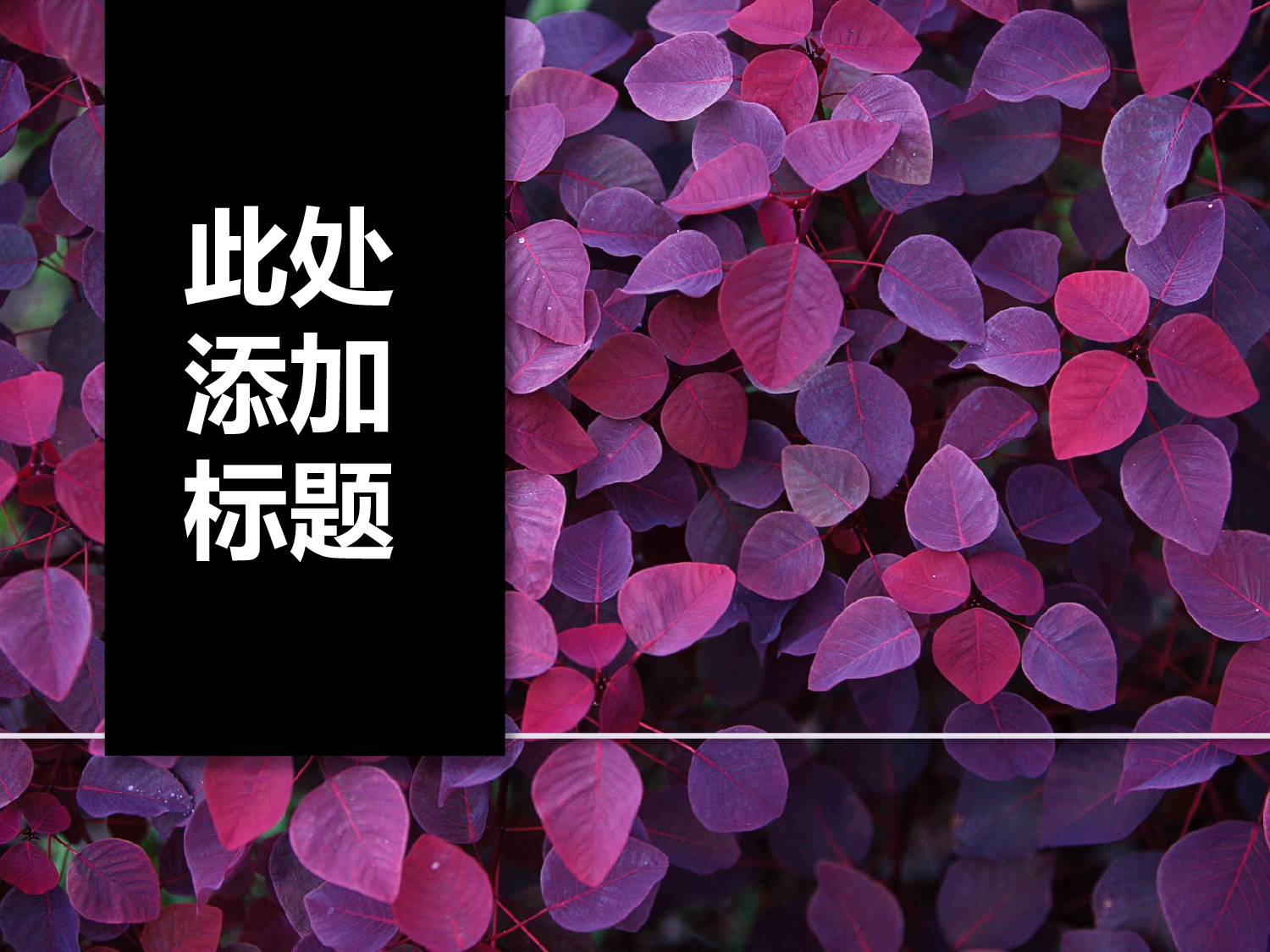 精美图表069372.pptx 第1页