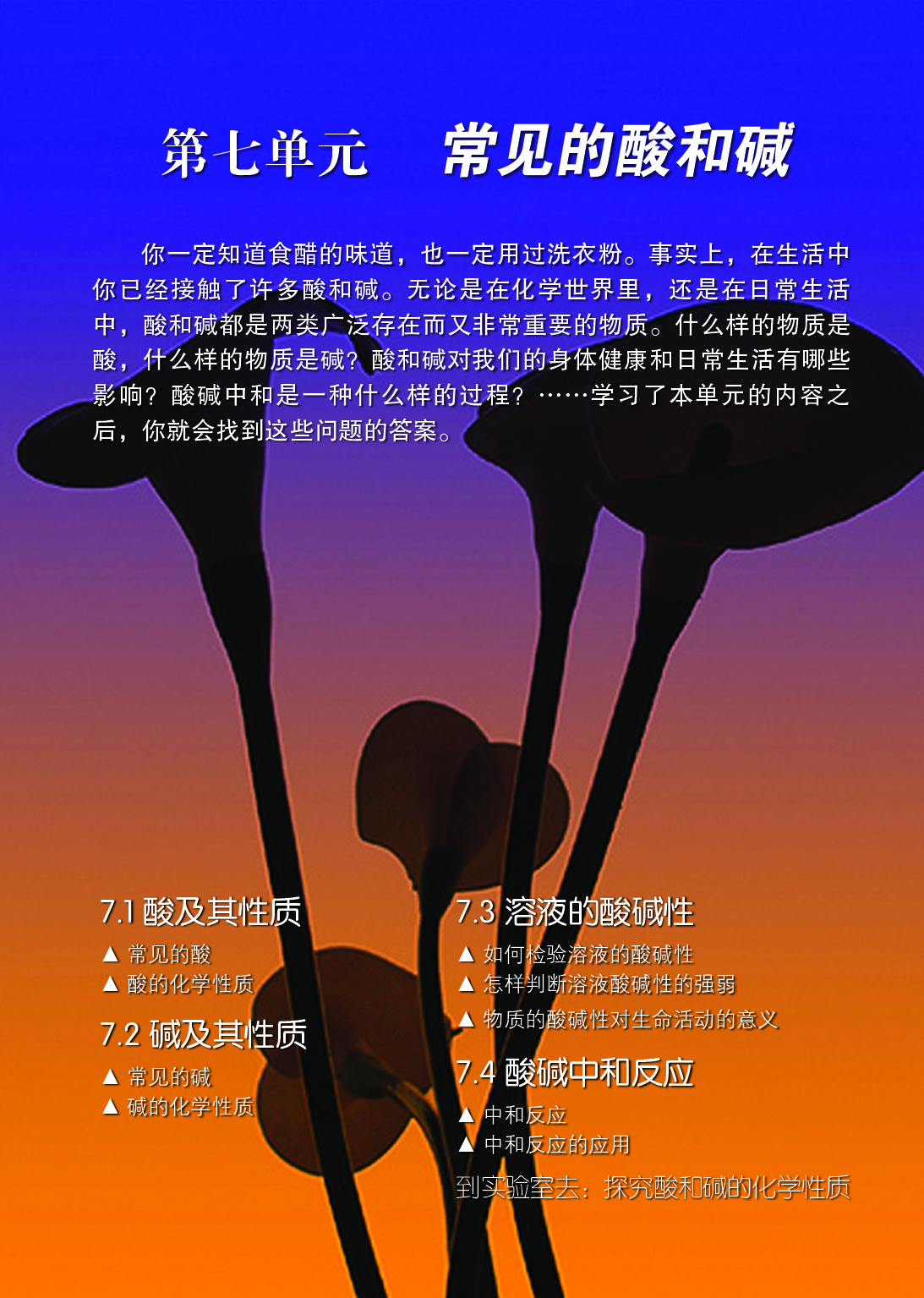 鲁教版9年级化学下册【高清教材】.pdf 第6页