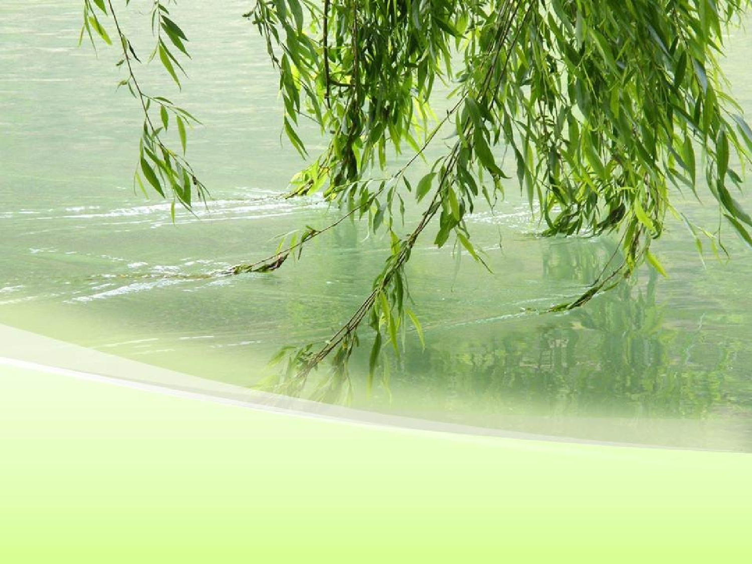精美图表0625120.pptx 第1页