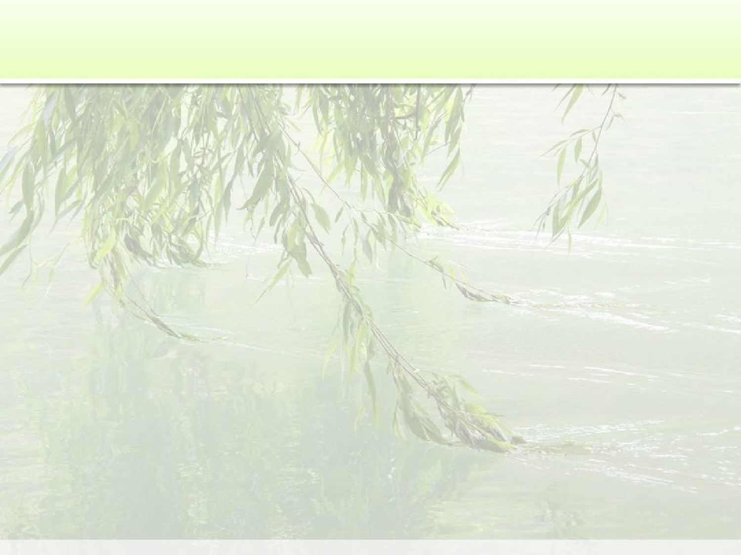 精美图表0625120.pptx 第2页