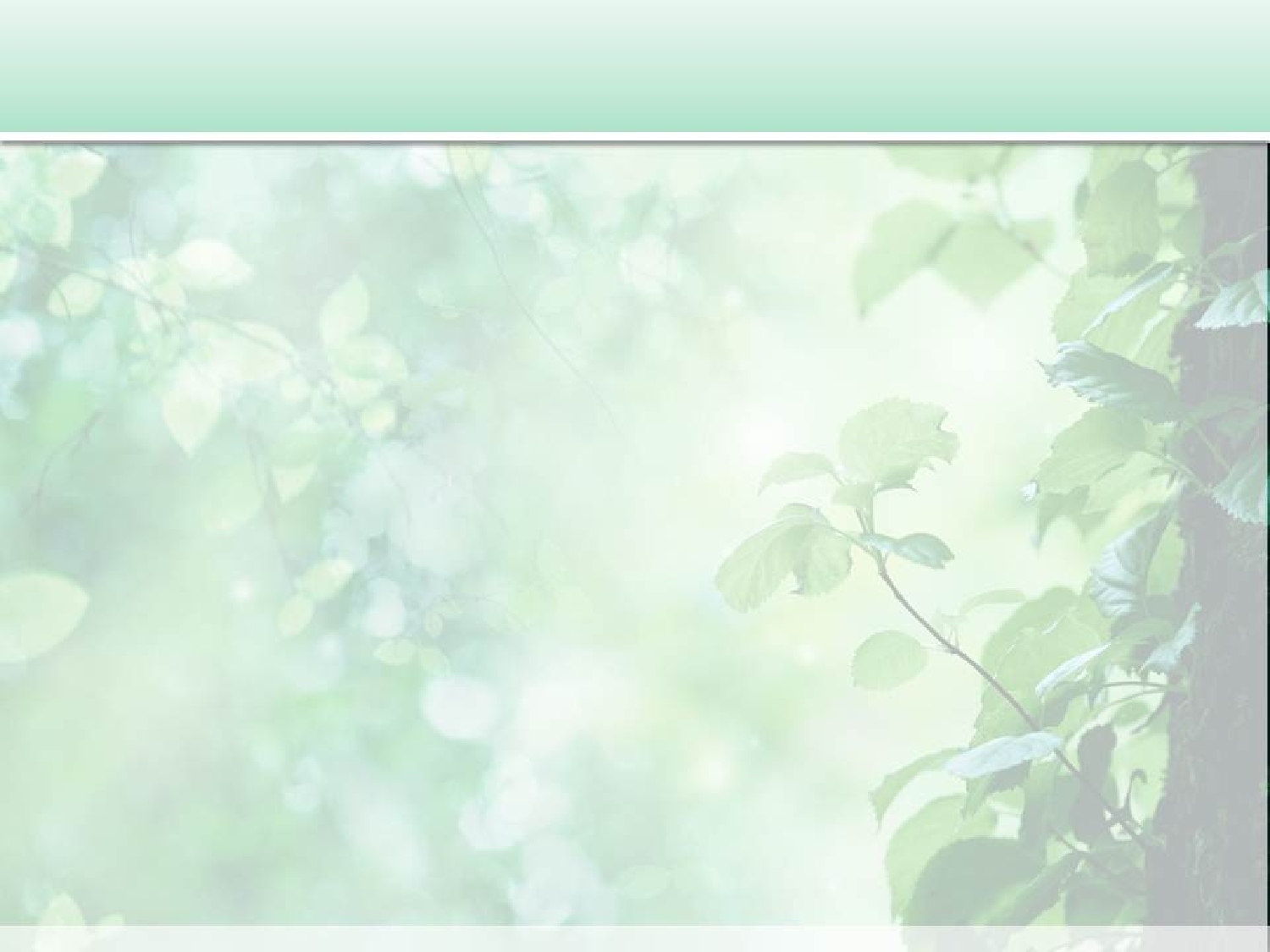 精美图表0627118.pptx 第2页