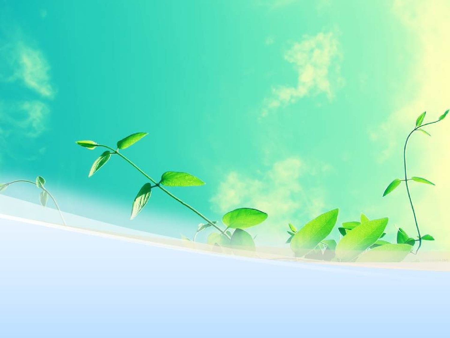 精美图表0624121.pptx 第1页