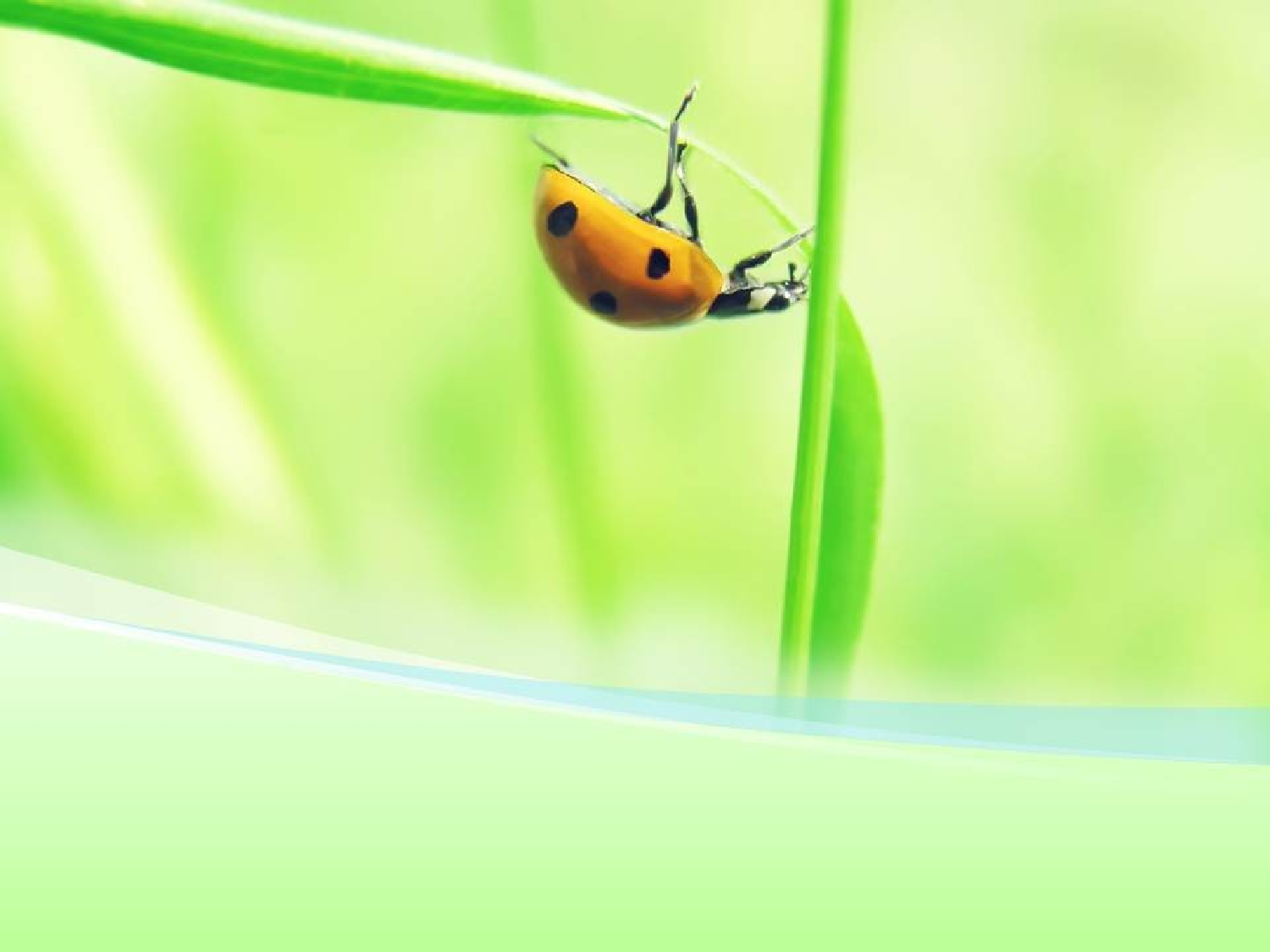 精美图表0623122.pptx 第1页