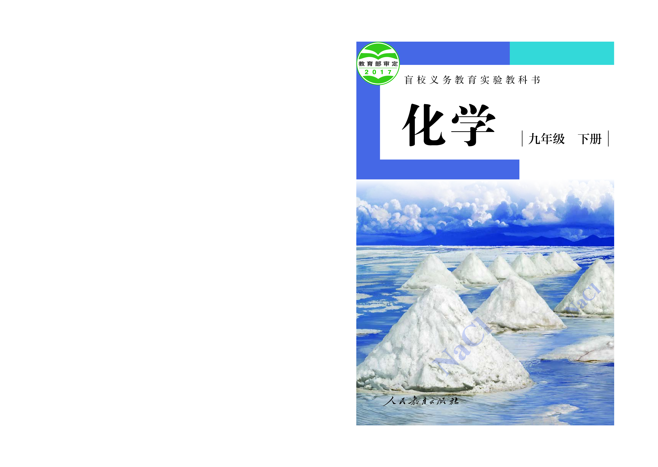 盲校义务教育实验教科书化学九年级下册（供低视力生使用）.pdf 第1页