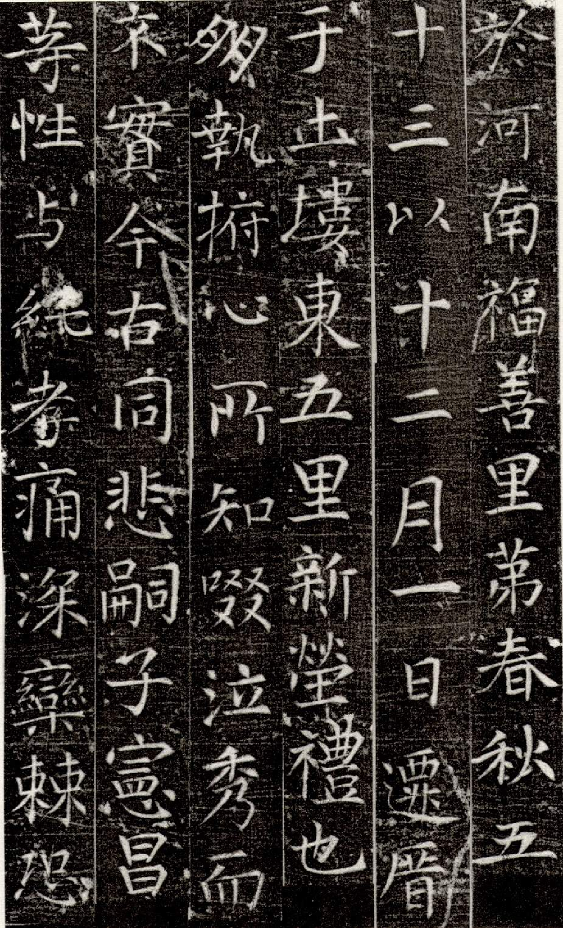 (唐)张旭楷书严仁墓志铭.pdf 第6页