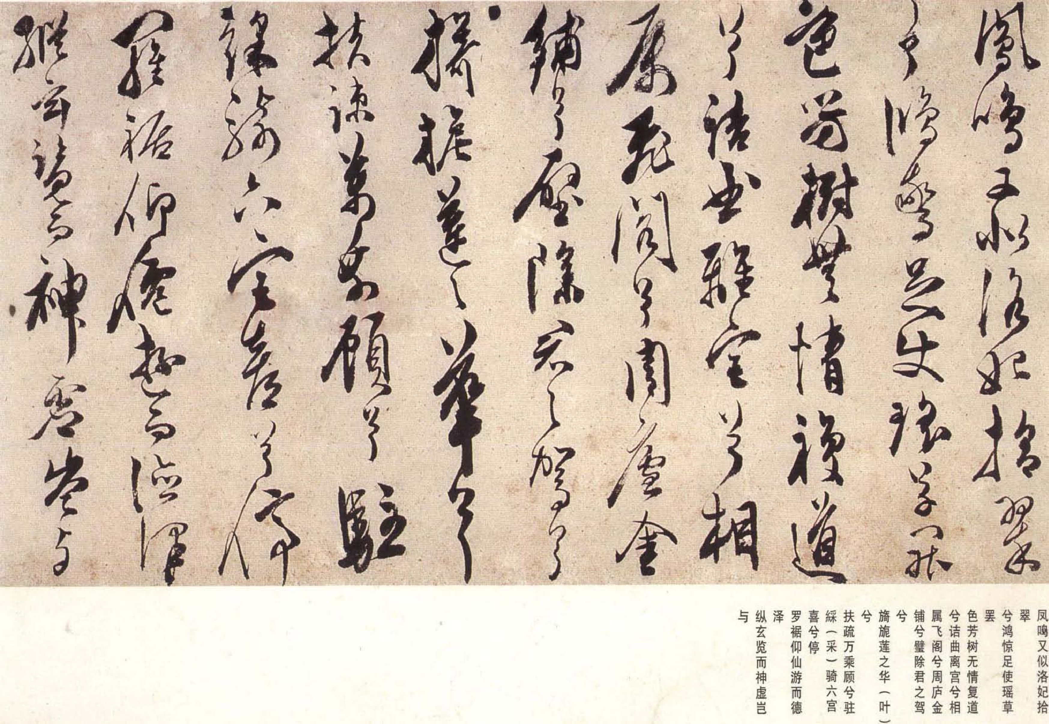 (明)陈淳草书宋之问秋莲赋.pdf 第2页