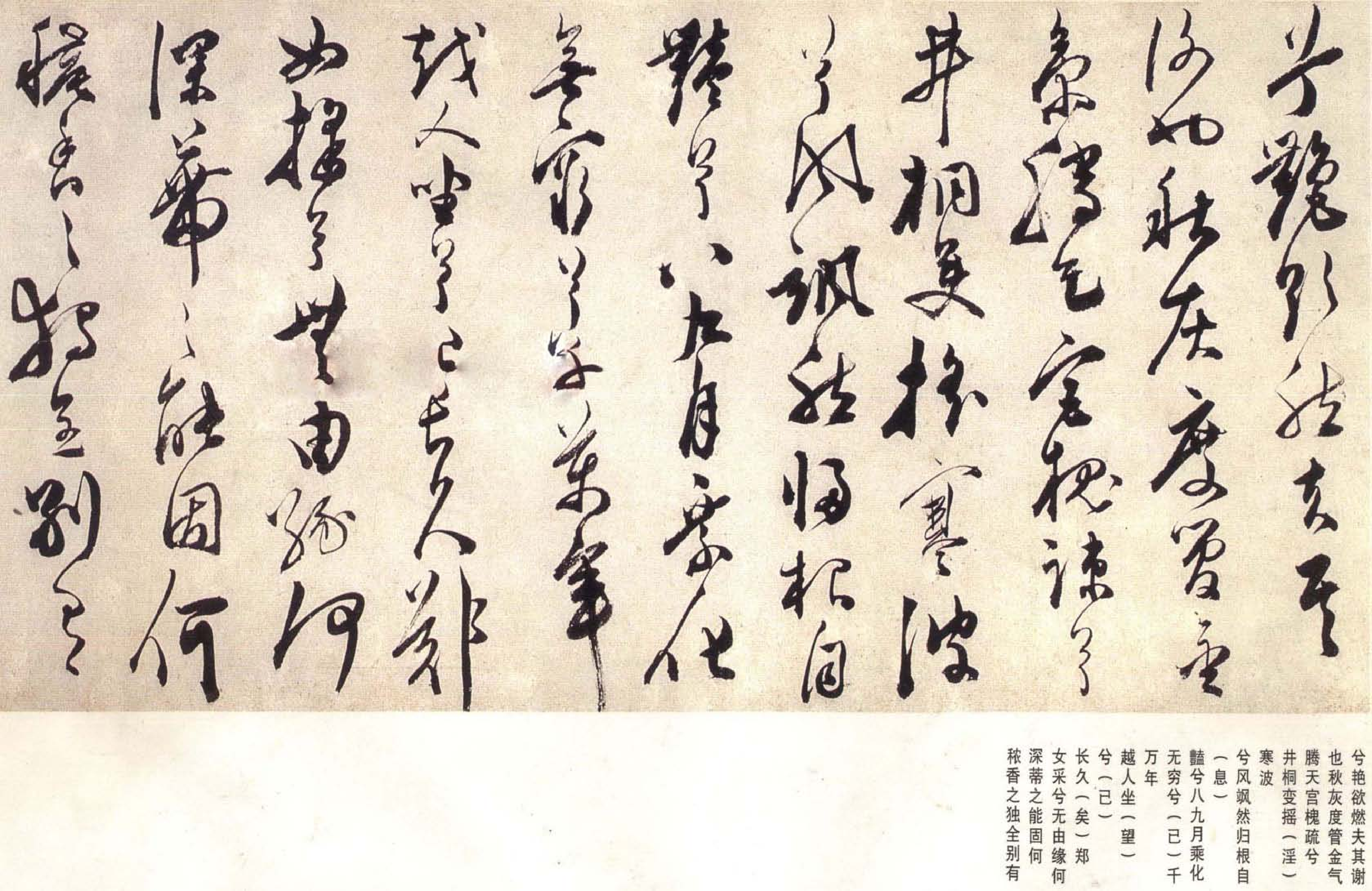 (明)陈淳草书宋之问秋莲赋.pdf 第5页