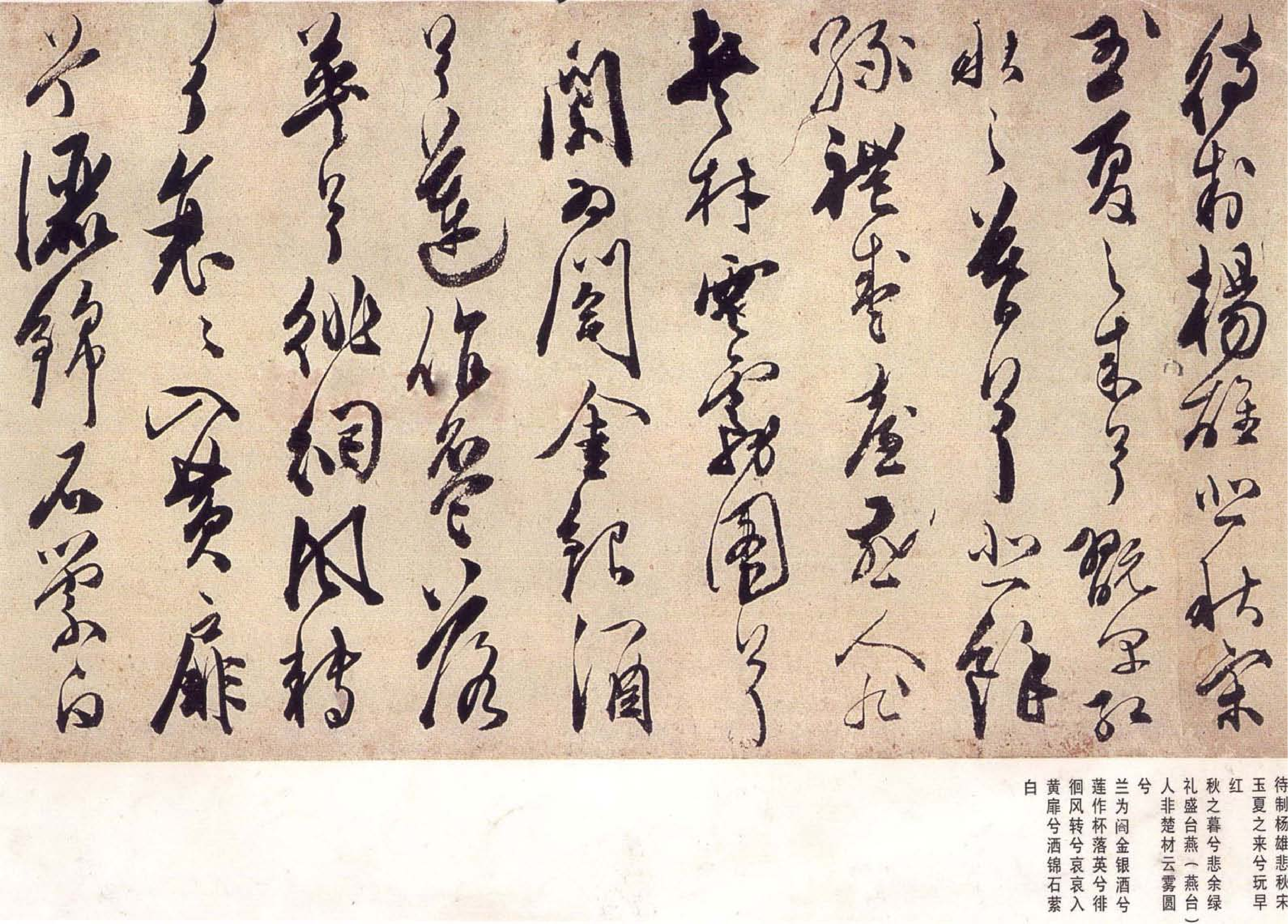 (明)陈淳草书宋之问秋莲赋.pdf 第6页