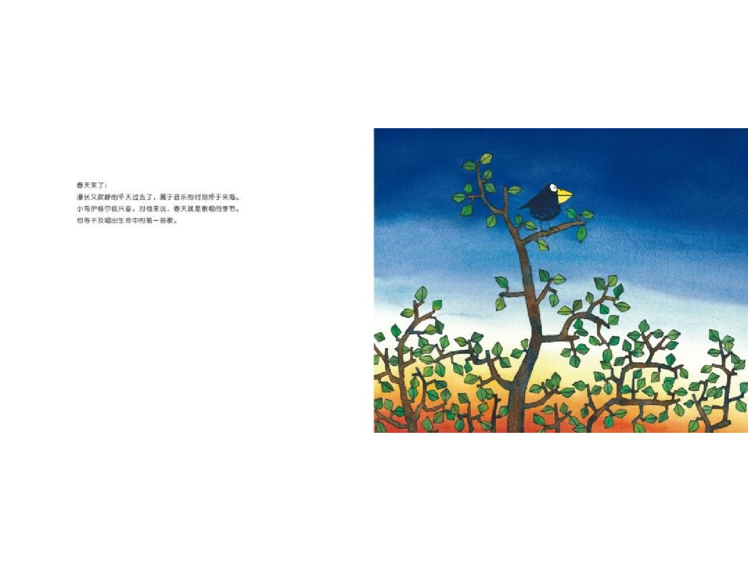 不会唱歌的小鸟.pptx 第5页