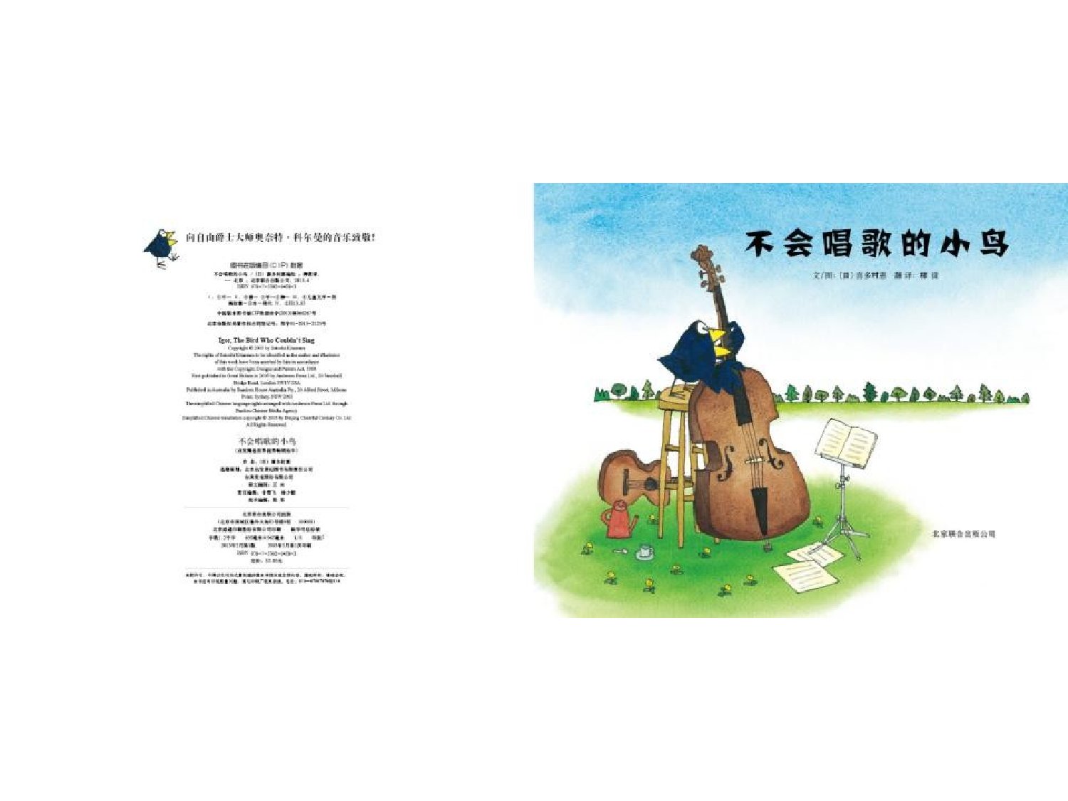 不会唱歌的小鸟.pptx 第4页