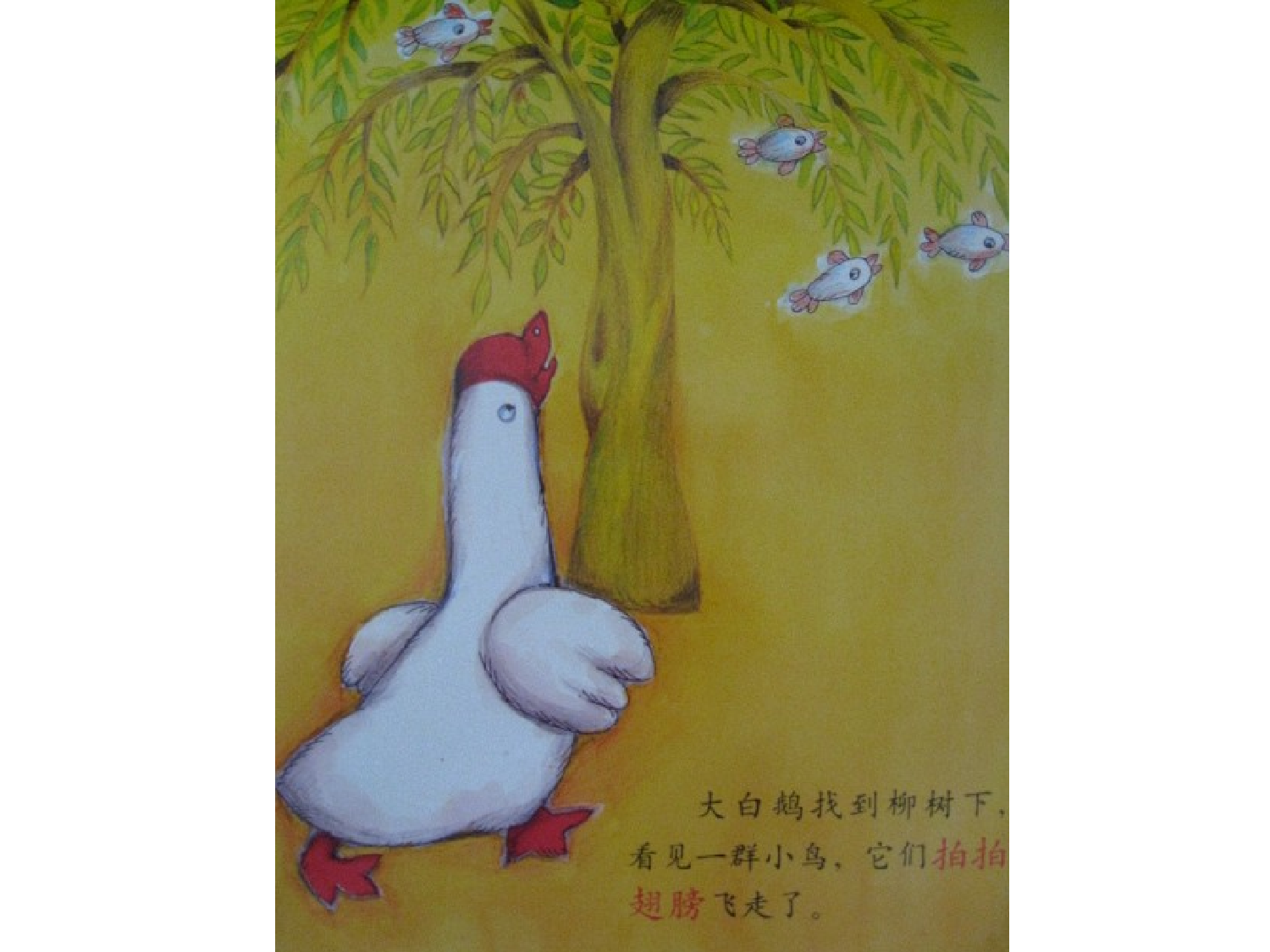 亮晶晶的泡泡.ppt 第5页