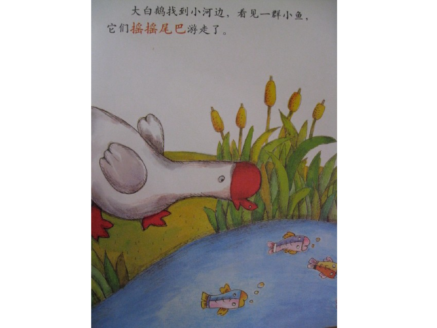 亮晶晶的泡泡.ppt 第3页