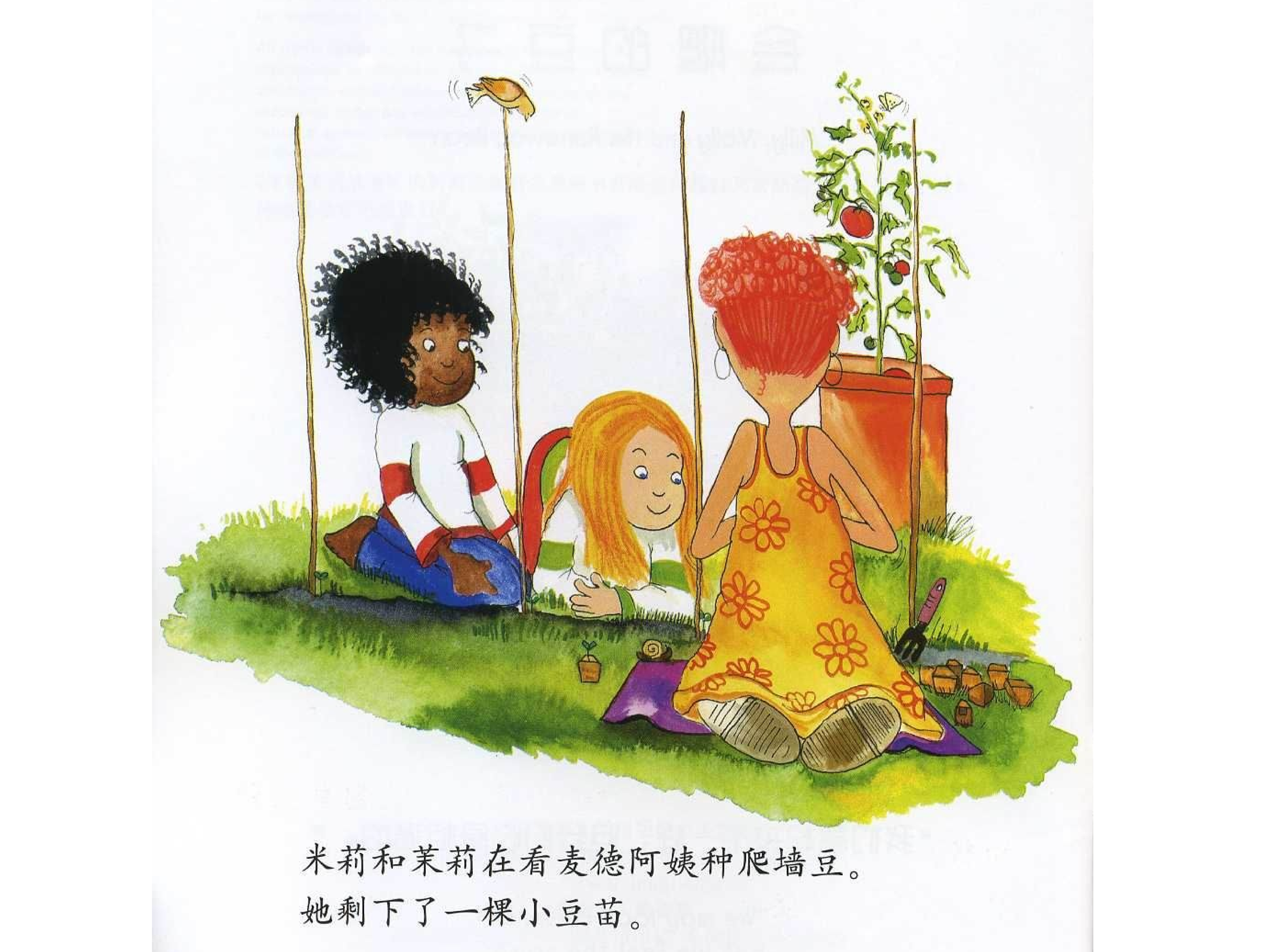 会爬的豆子.ppt 第3页