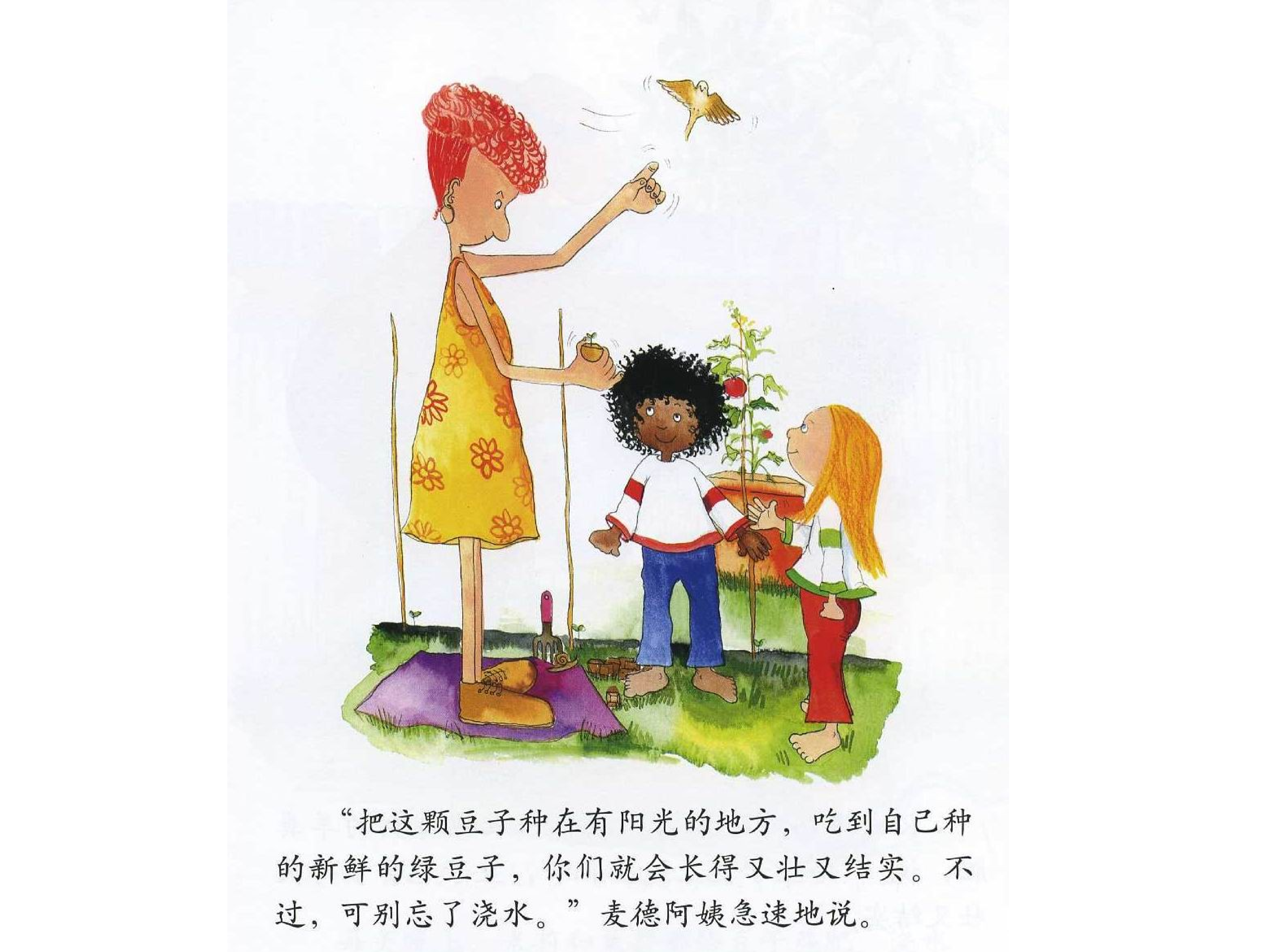 会爬的豆子.ppt 第4页