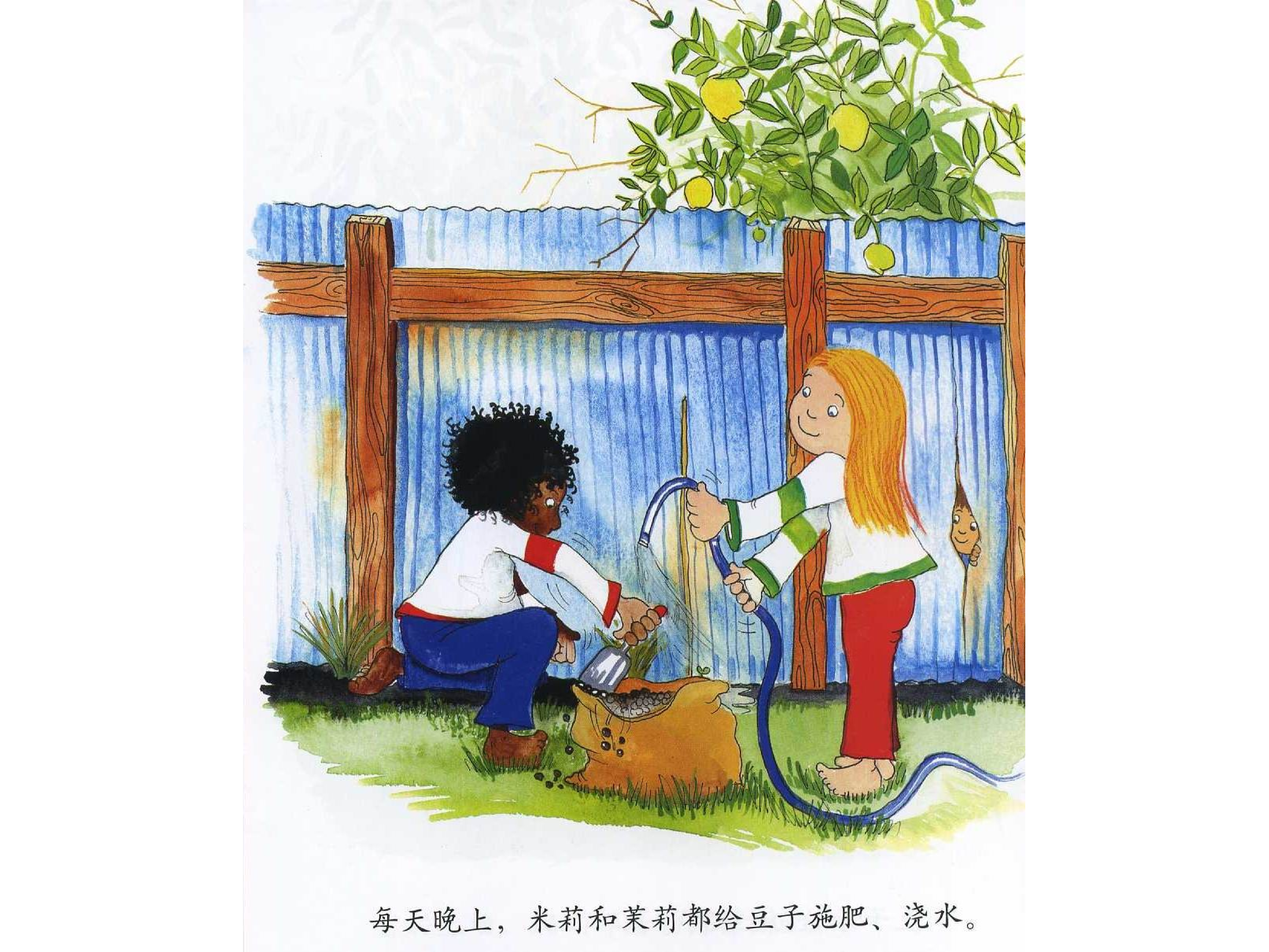 会爬的豆子.ppt 第6页