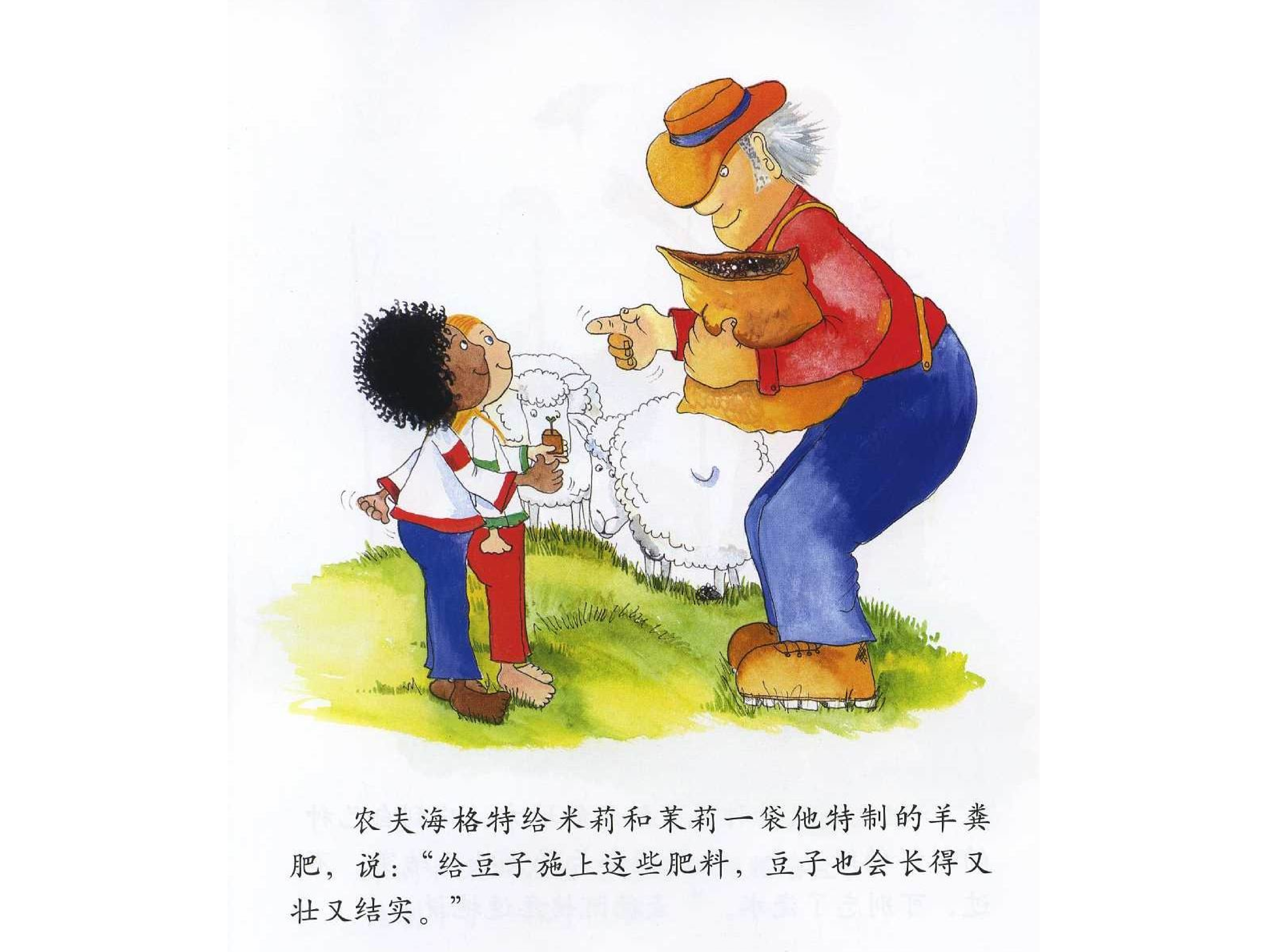 会爬的豆子.ppt 第5页