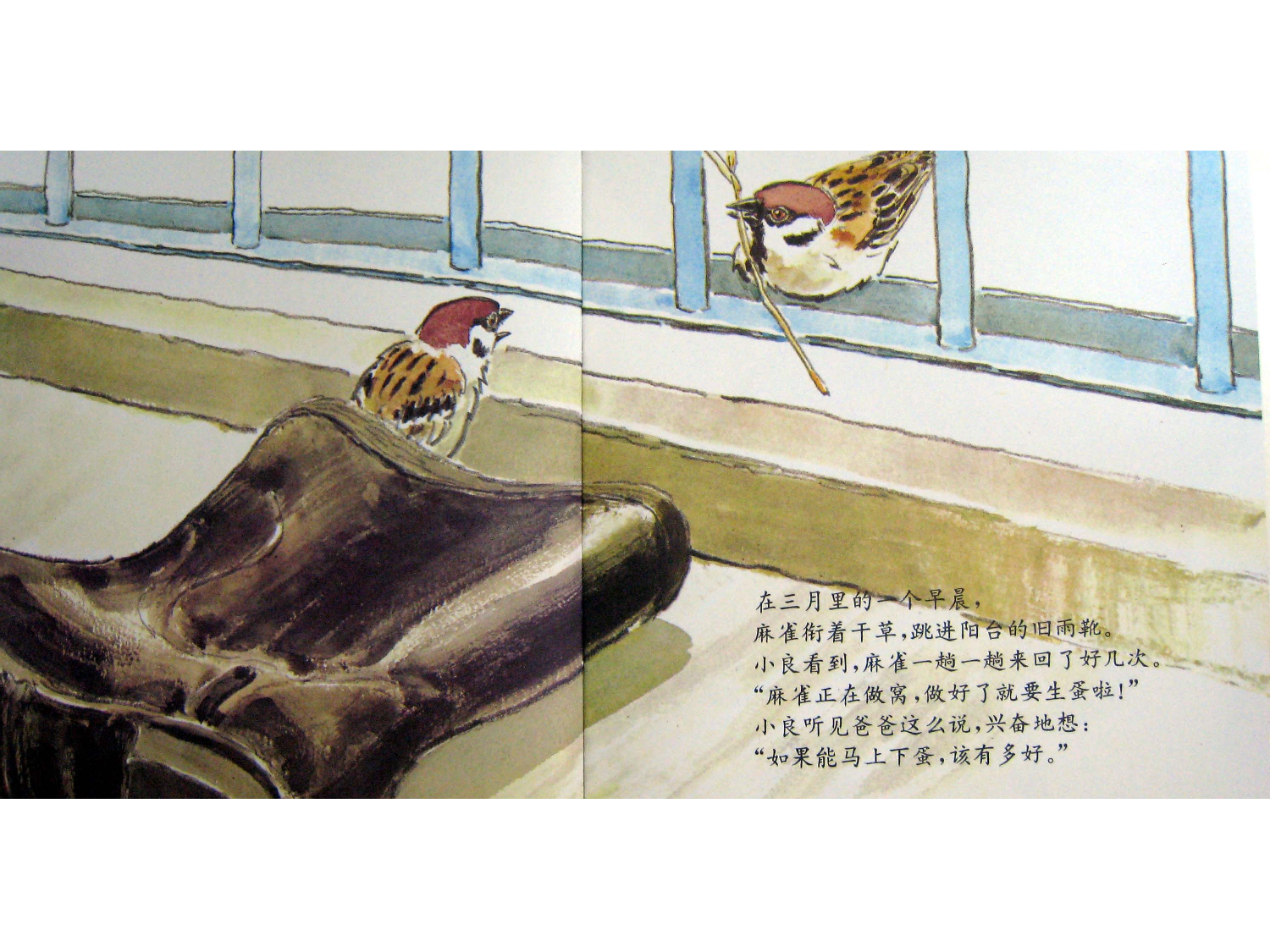 儿童经典故事&mdash;&mdash;雨靴里的麻雀.ppt 第6页