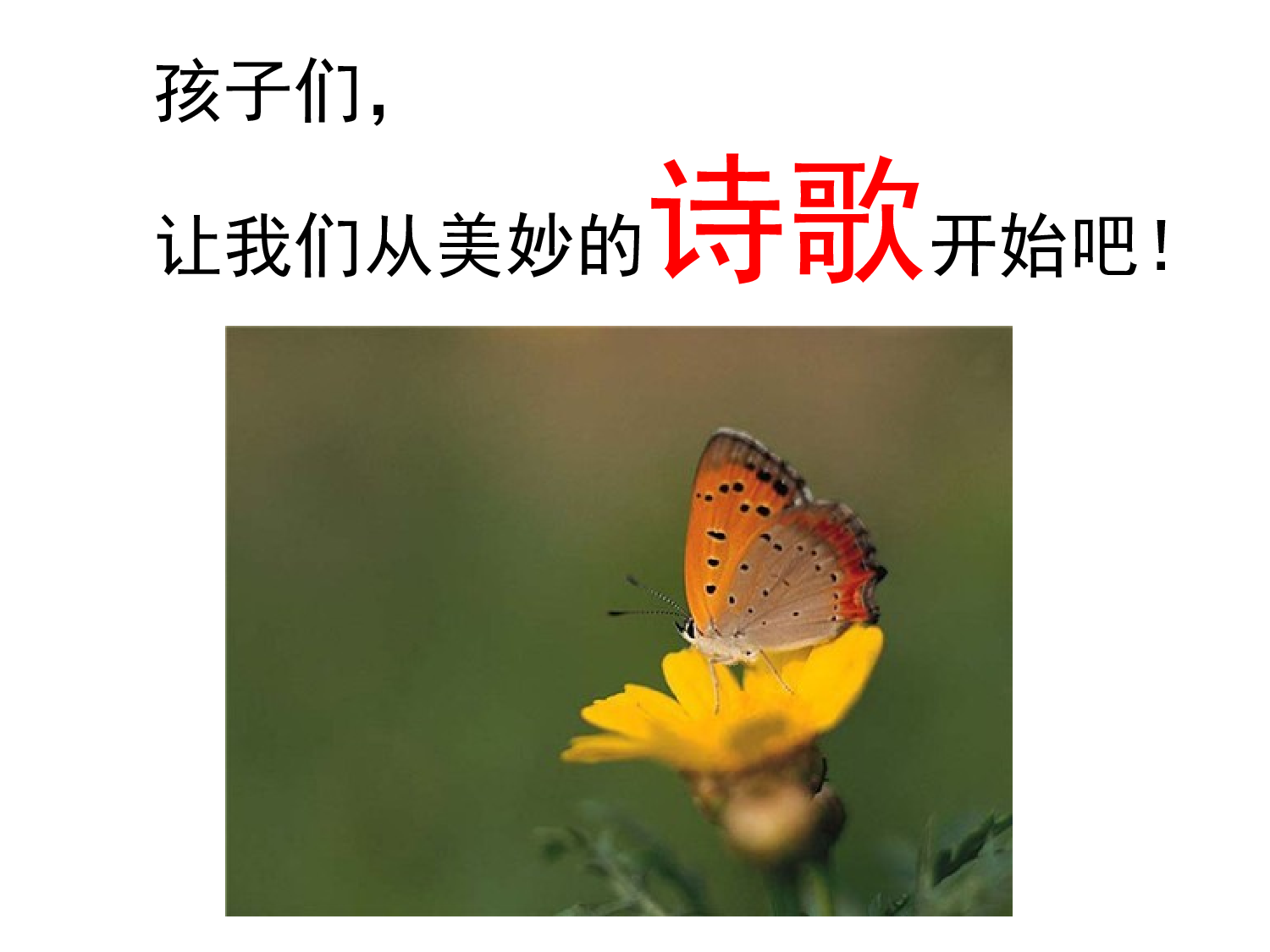 冬天的温妮.ppt 第2页