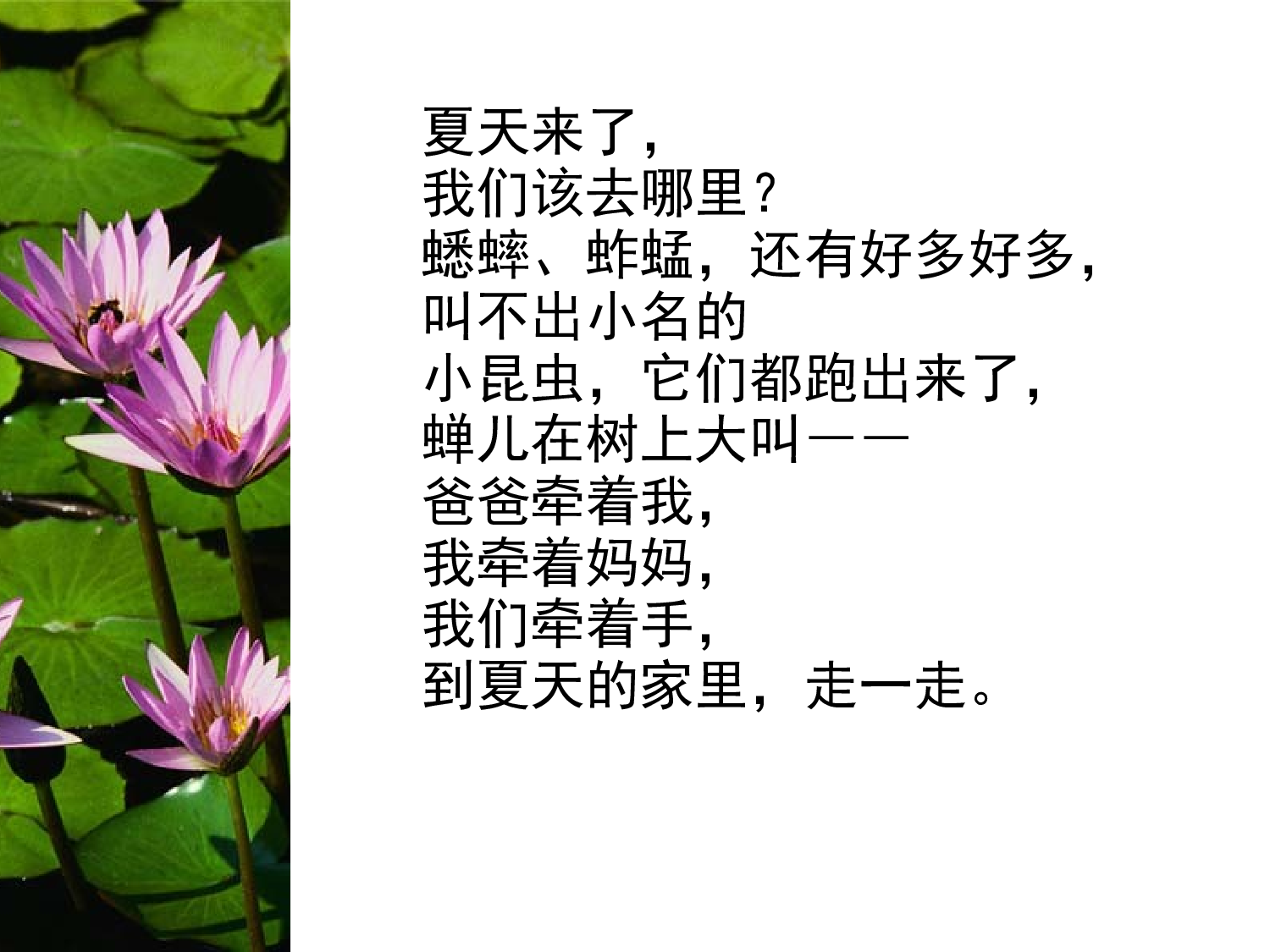 冬天的温妮.ppt 第4页
