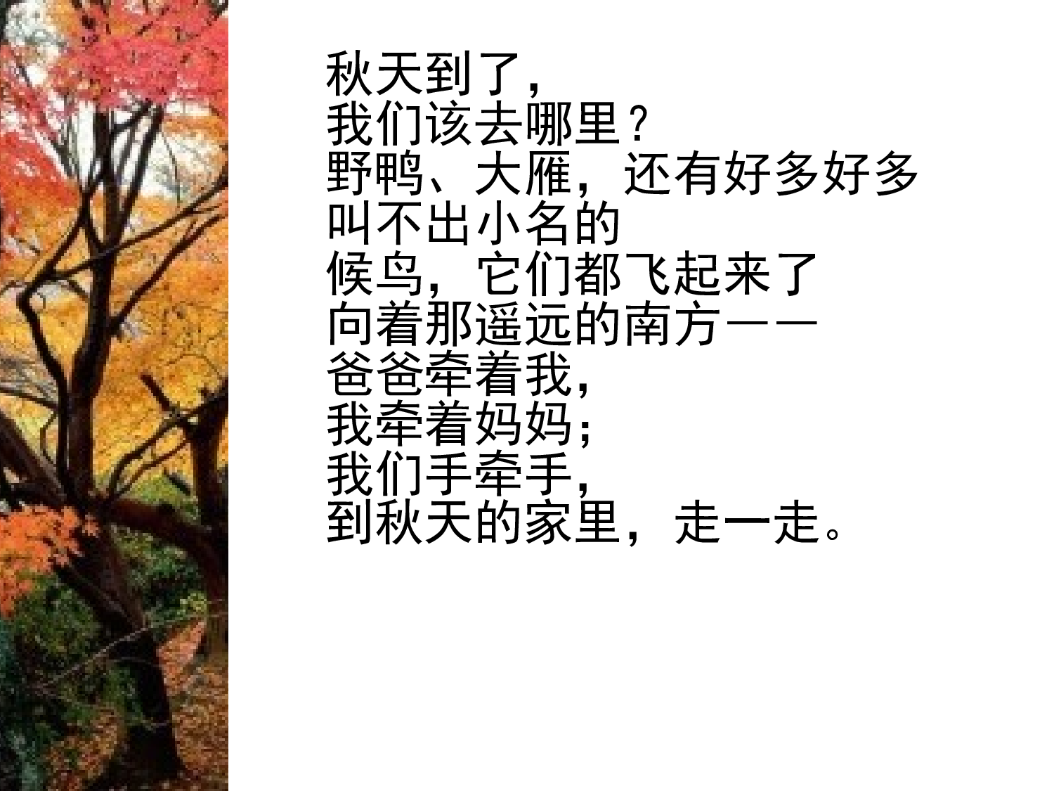 冬天的温妮.ppt 第5页