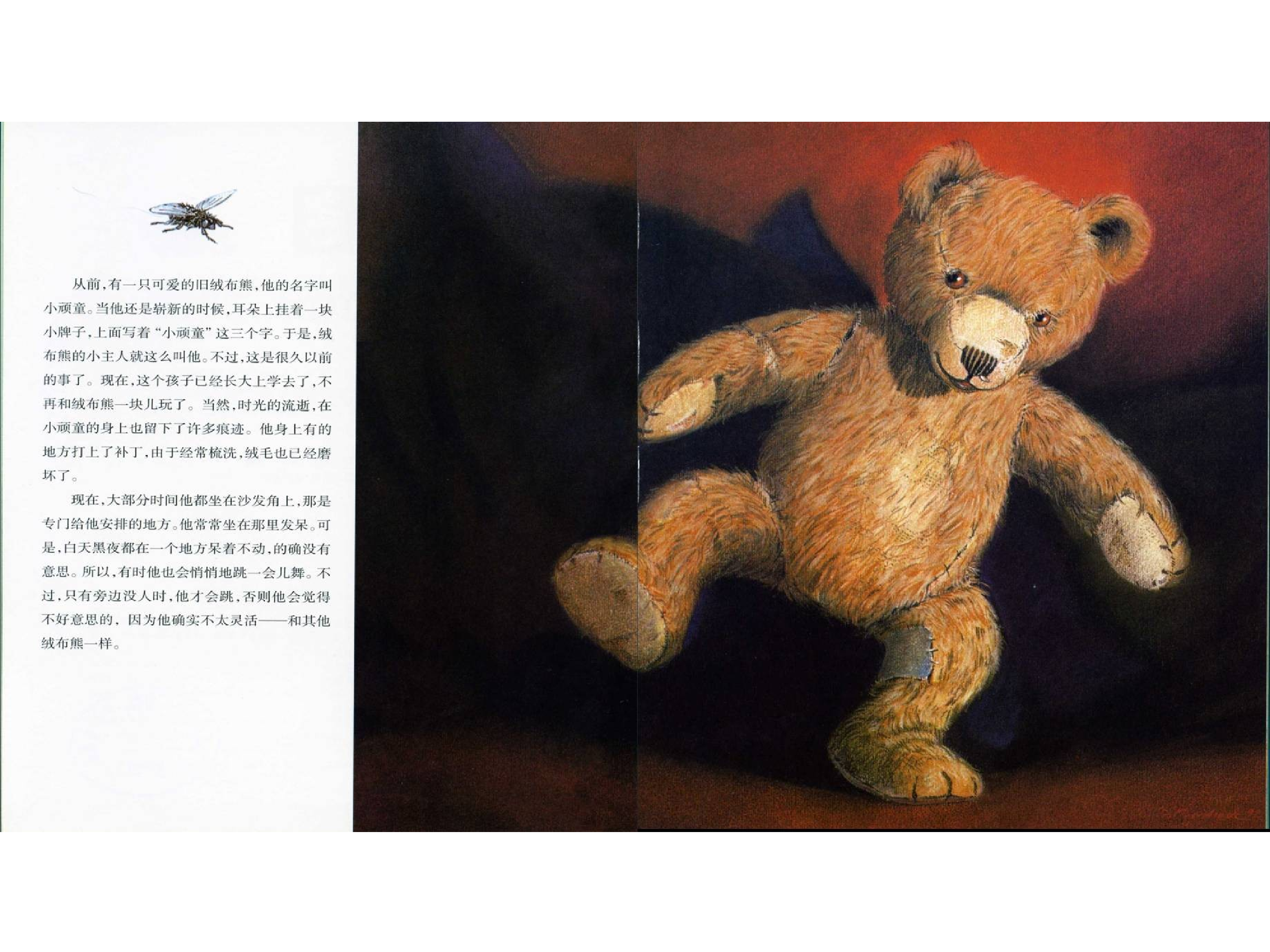 出走的绒布熊x.ppt 第3页
