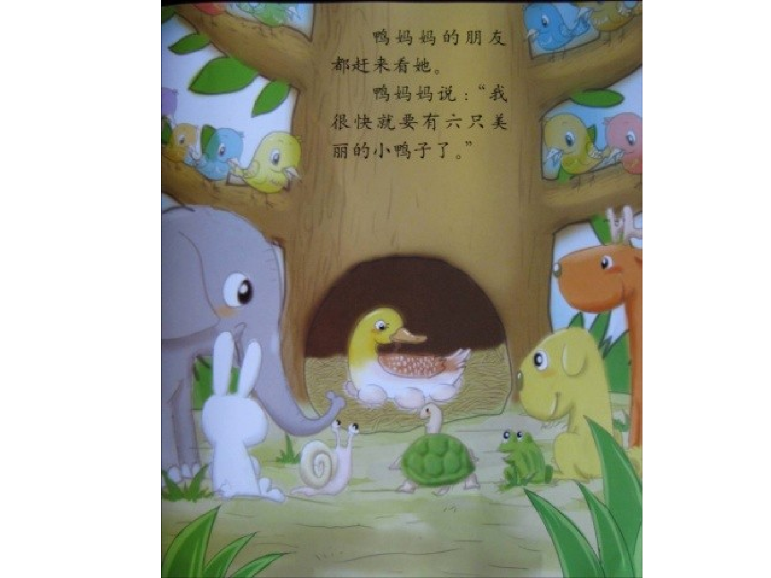 划圈儿的小小鸭.ppt 第3页