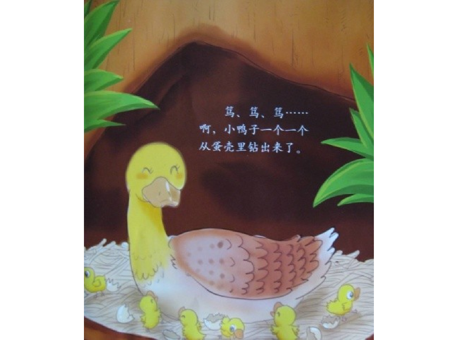 划圈儿的小小鸭.ppt 第5页