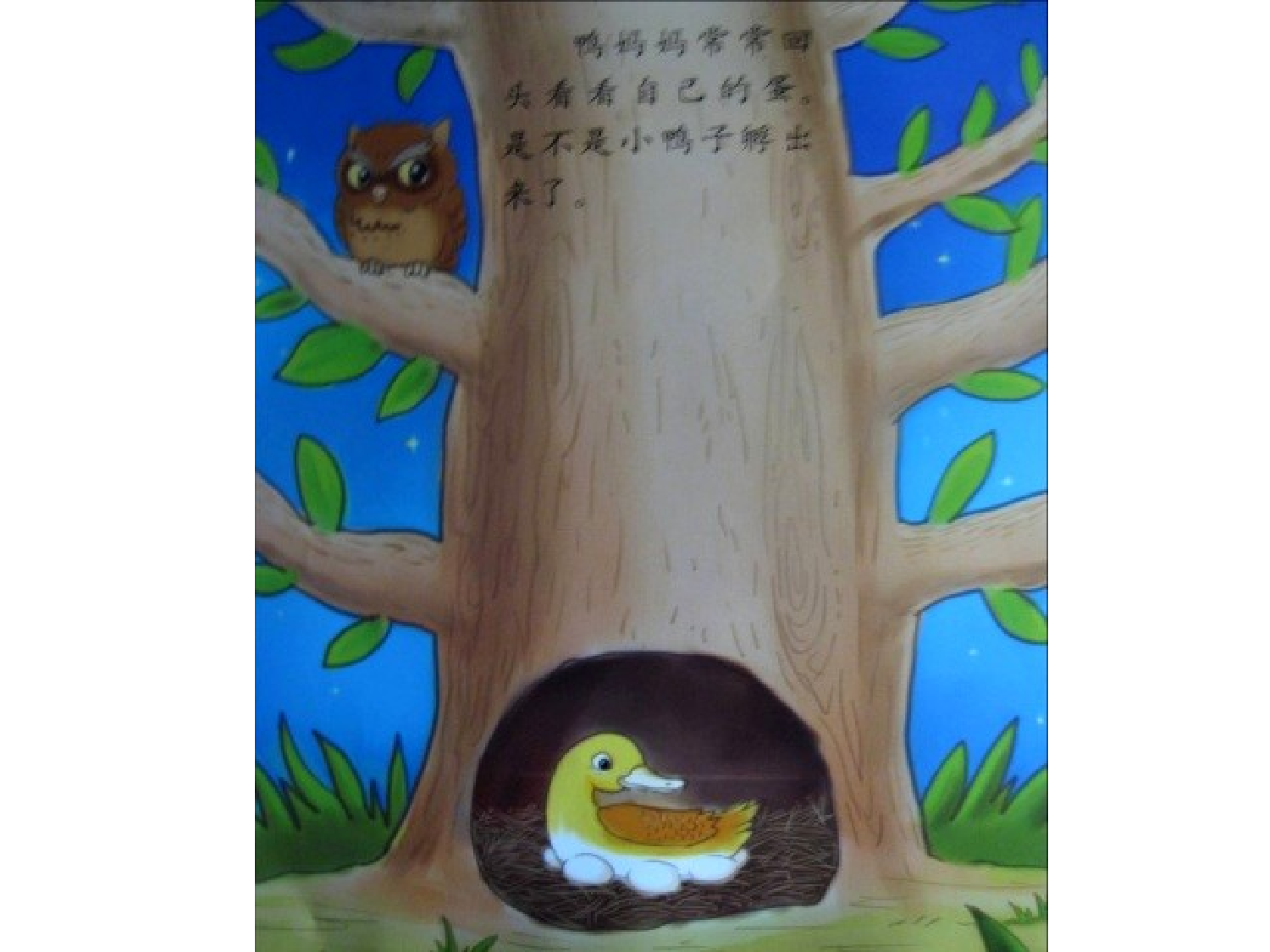 划圈儿的小小鸭.ppt 第4页