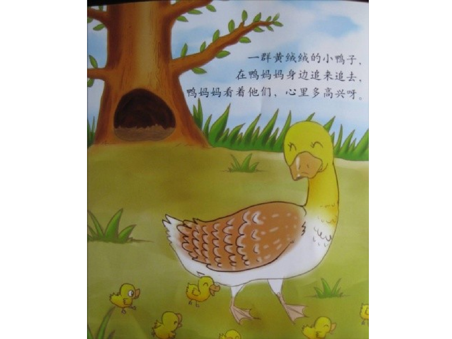 划圈儿的小小鸭.ppt 第6页
