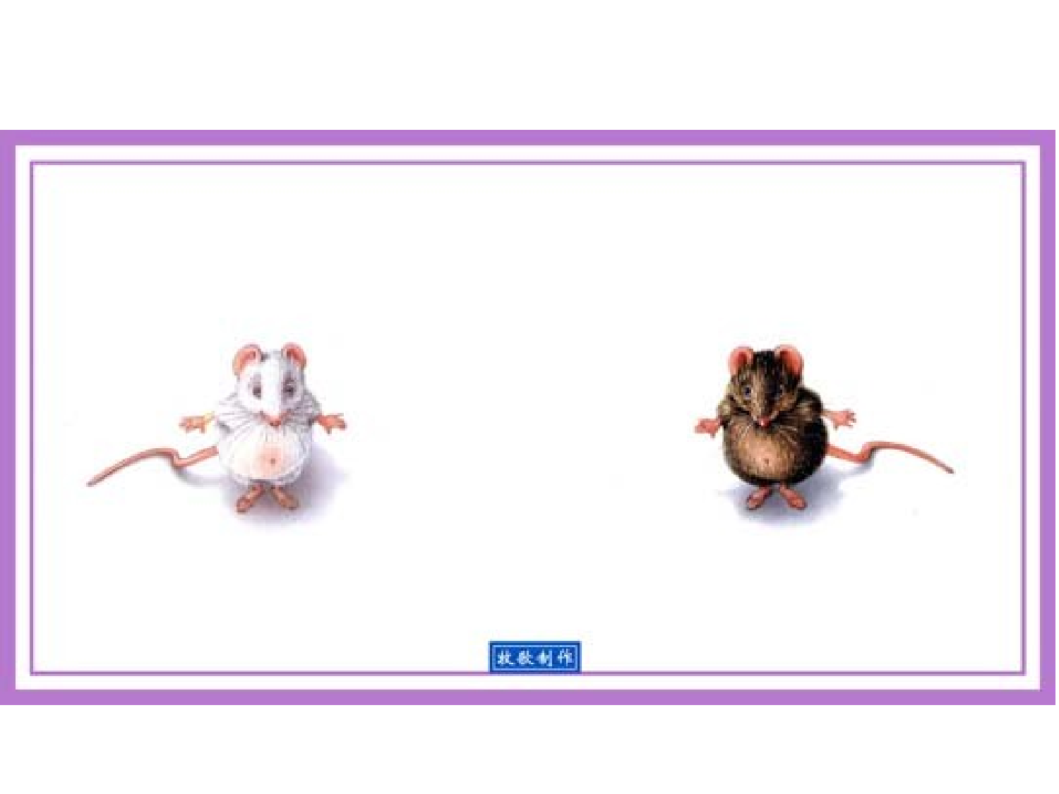 反正.ppt 第2页
